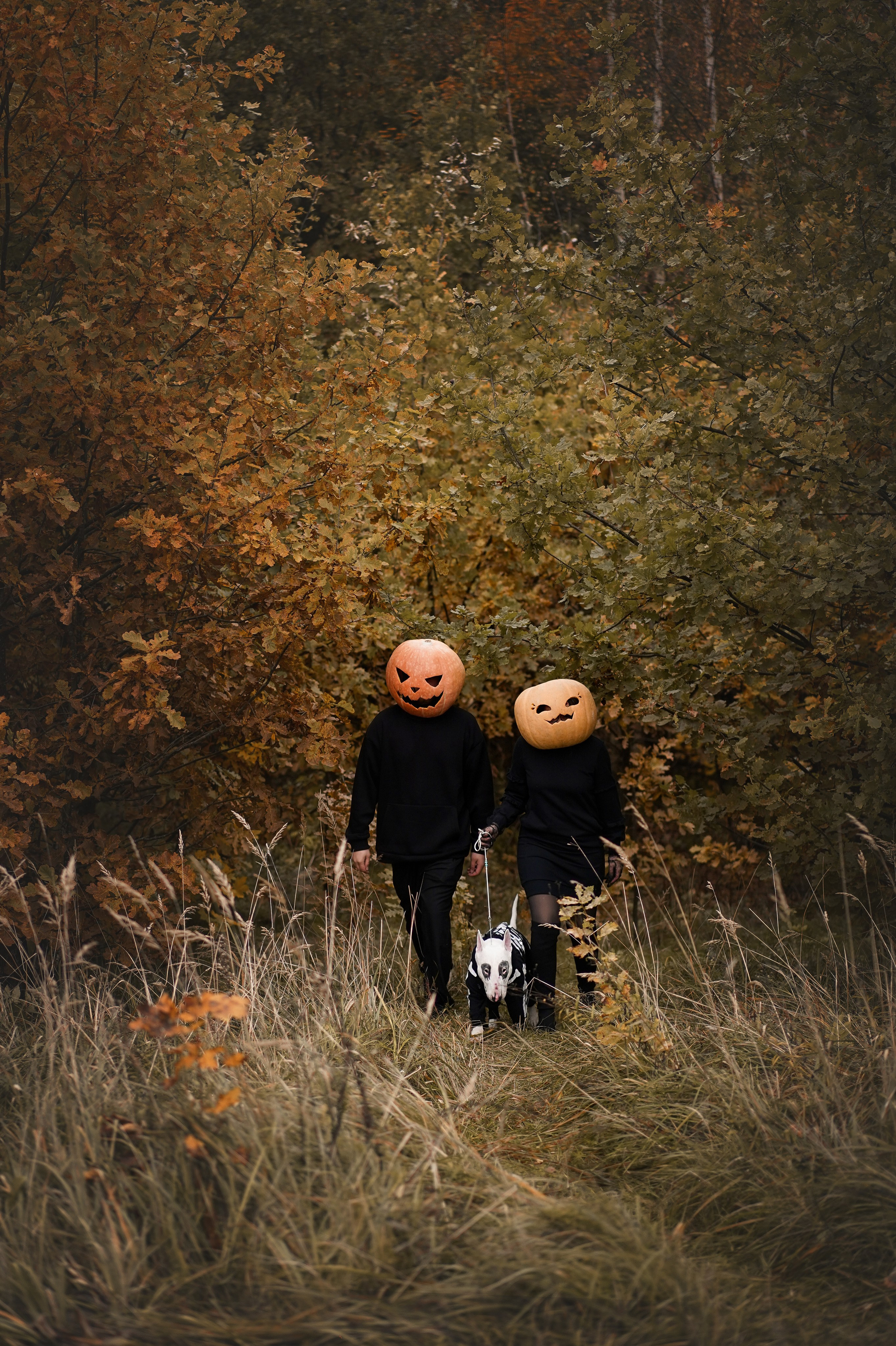 Настя Рома и Сахар Хелоуин. Фотограф-анималист в Санкт-Петербурге Яна Мартынова