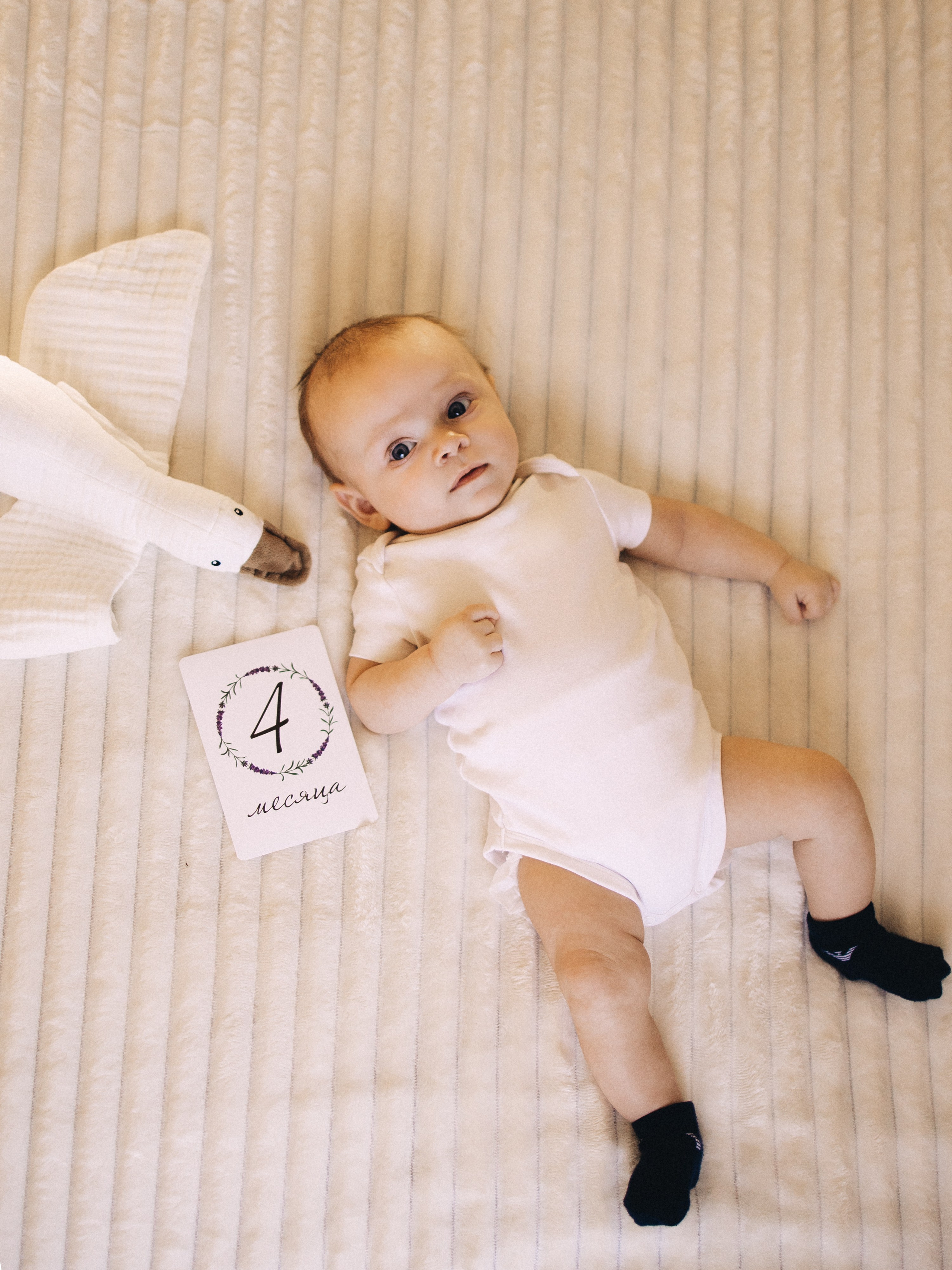 Домашняя история. Семейный фотограф в Краснодаре Храмова Анна