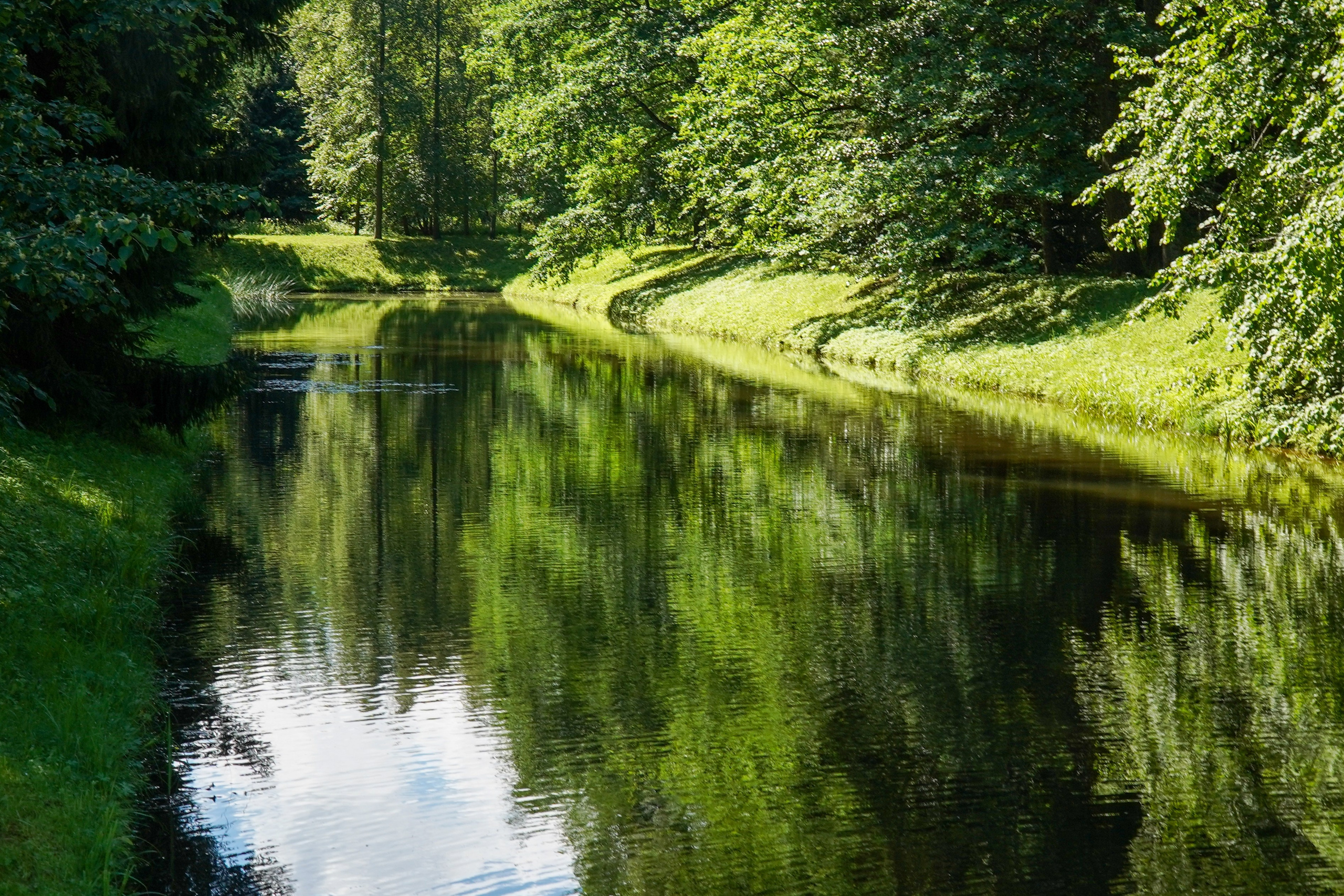 ОРАНИЕНБАУМ. Июль 2024. Фотограф Наталья Погодина в г. Обнинске