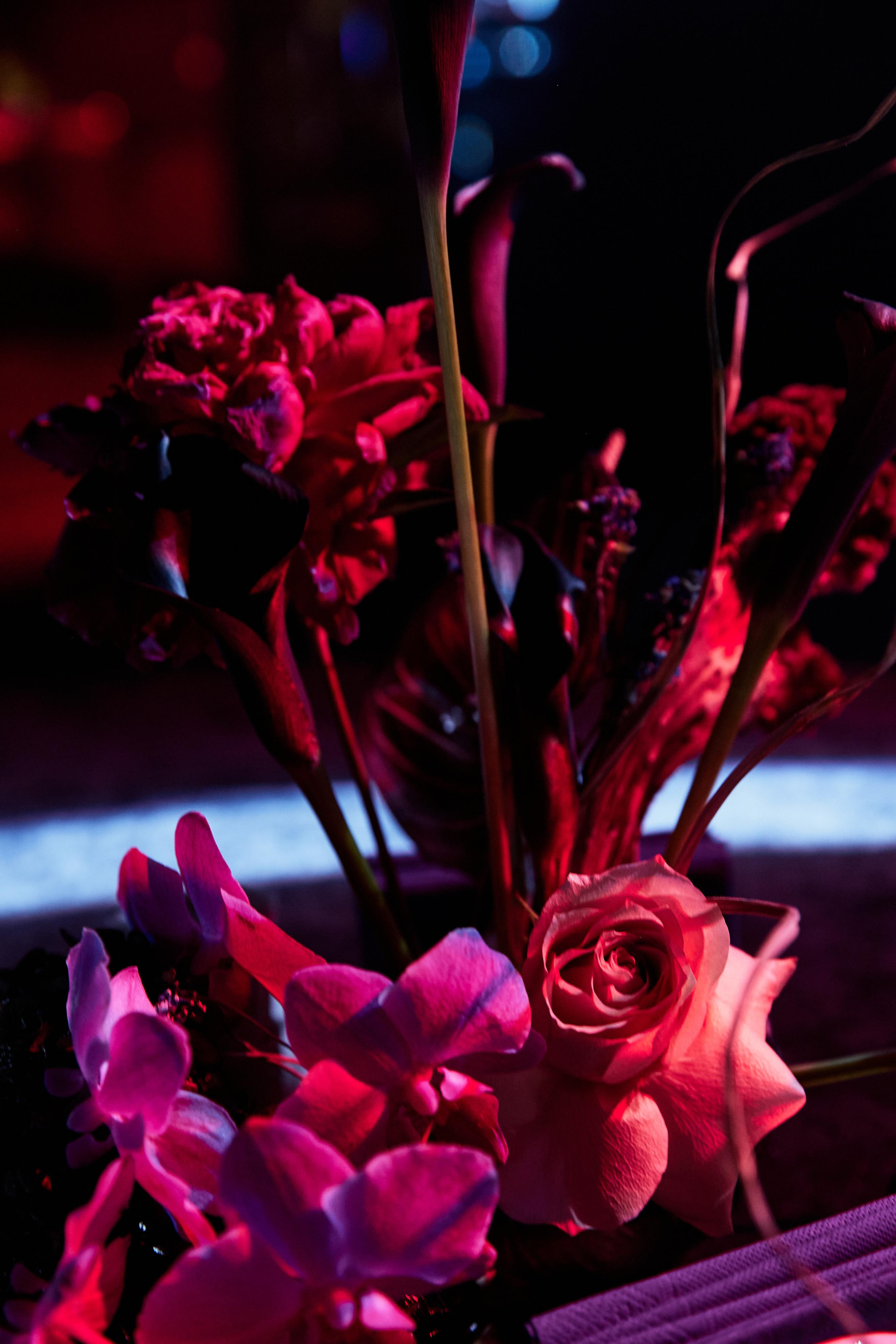 BOSS 13. Дмитрий Мазуркевич: Профессиональный Репортажный Фотограф