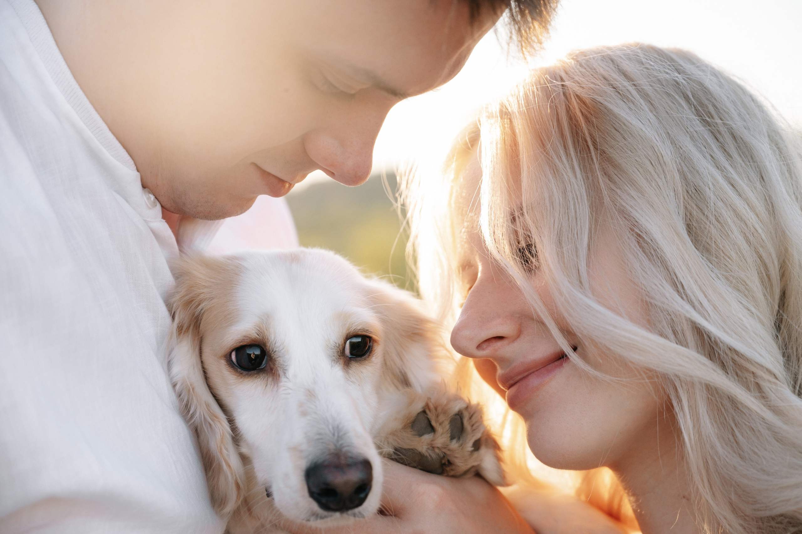 Яна и Паша. Свадебный и семейный фотограф Вероника Холод