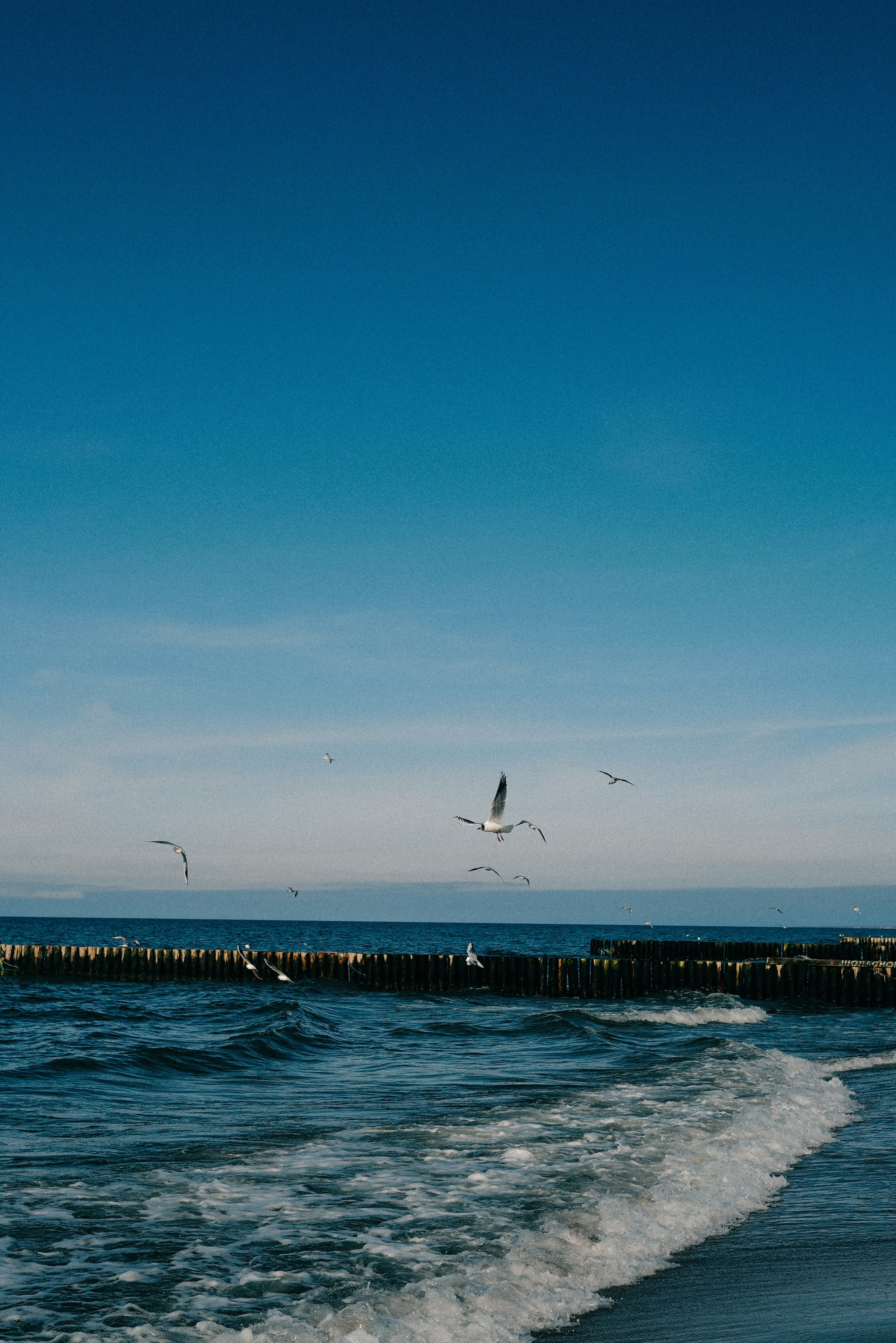 Zelenogradsk. Фотограф София Комкина