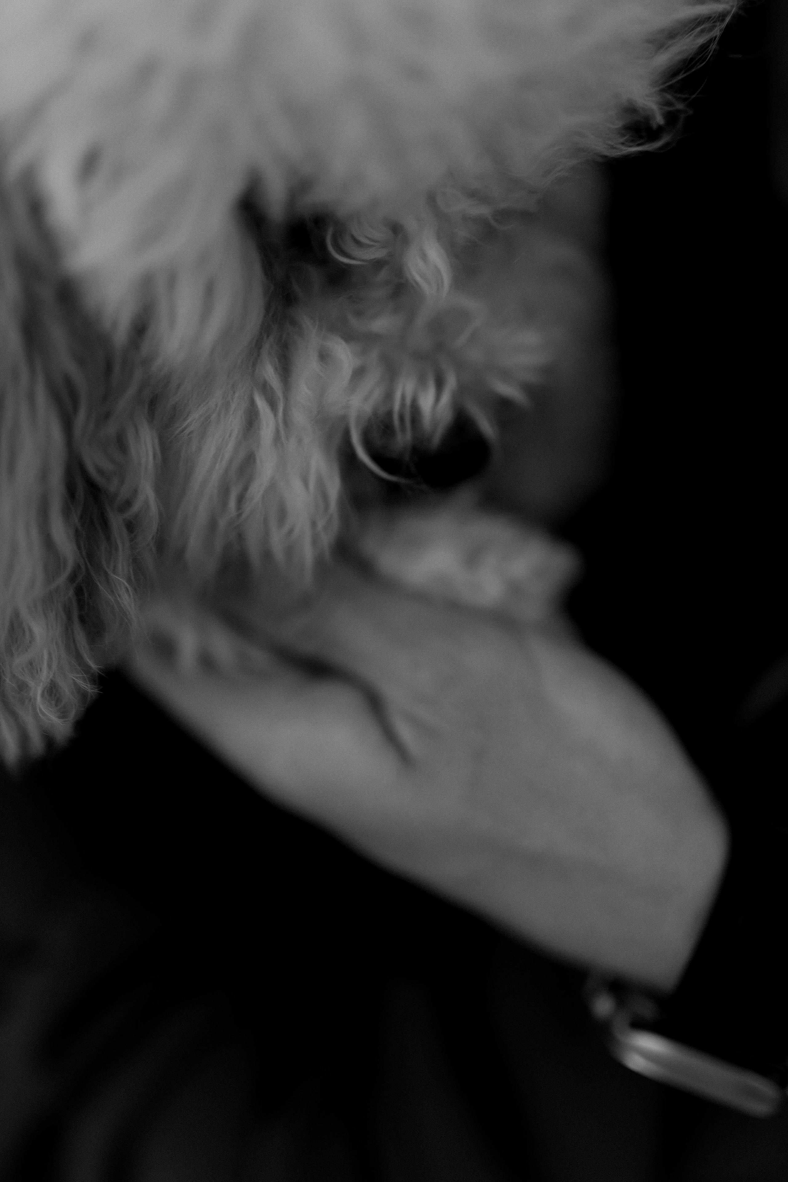 Юлия и Антон