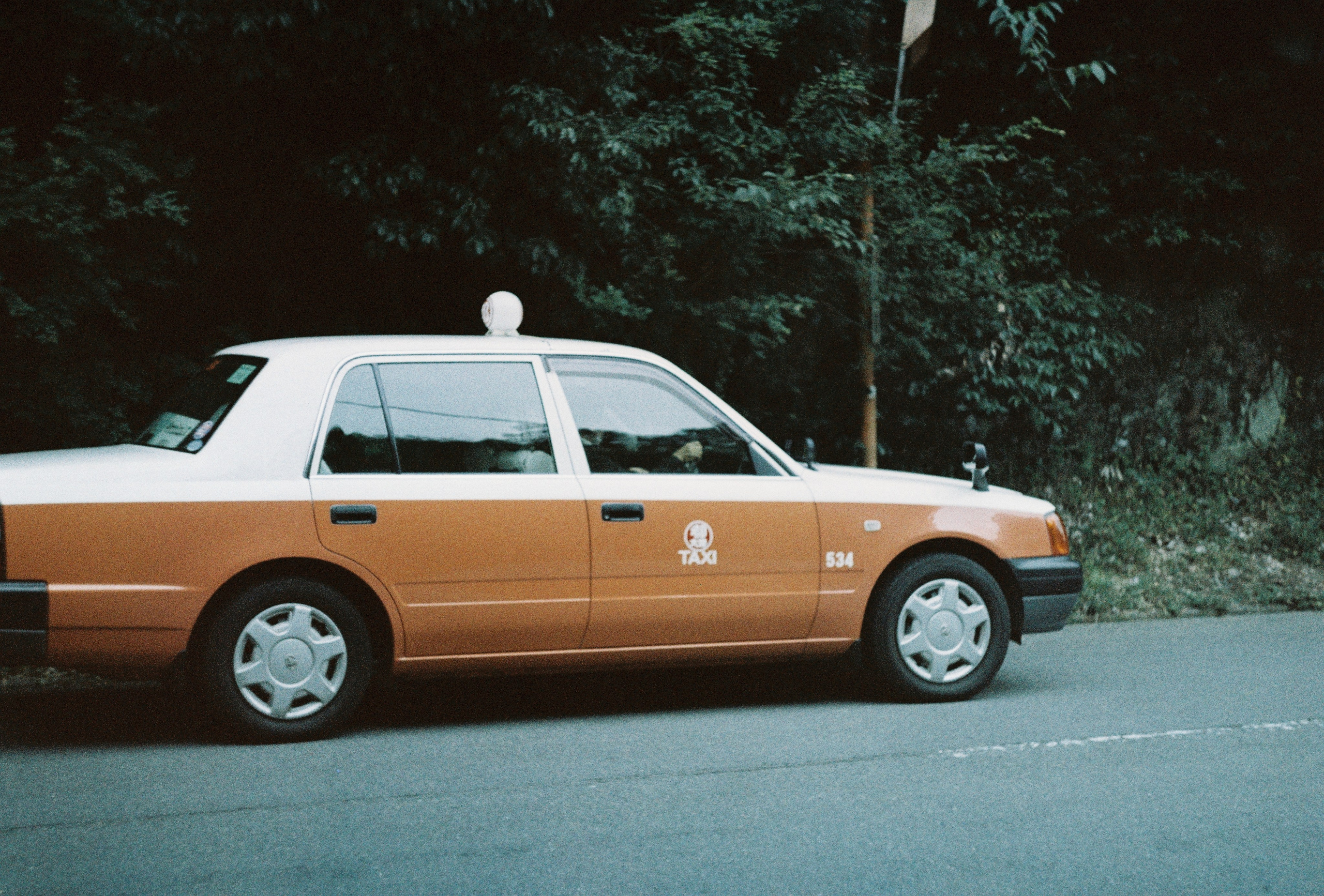 Пленочная фотография в Москве