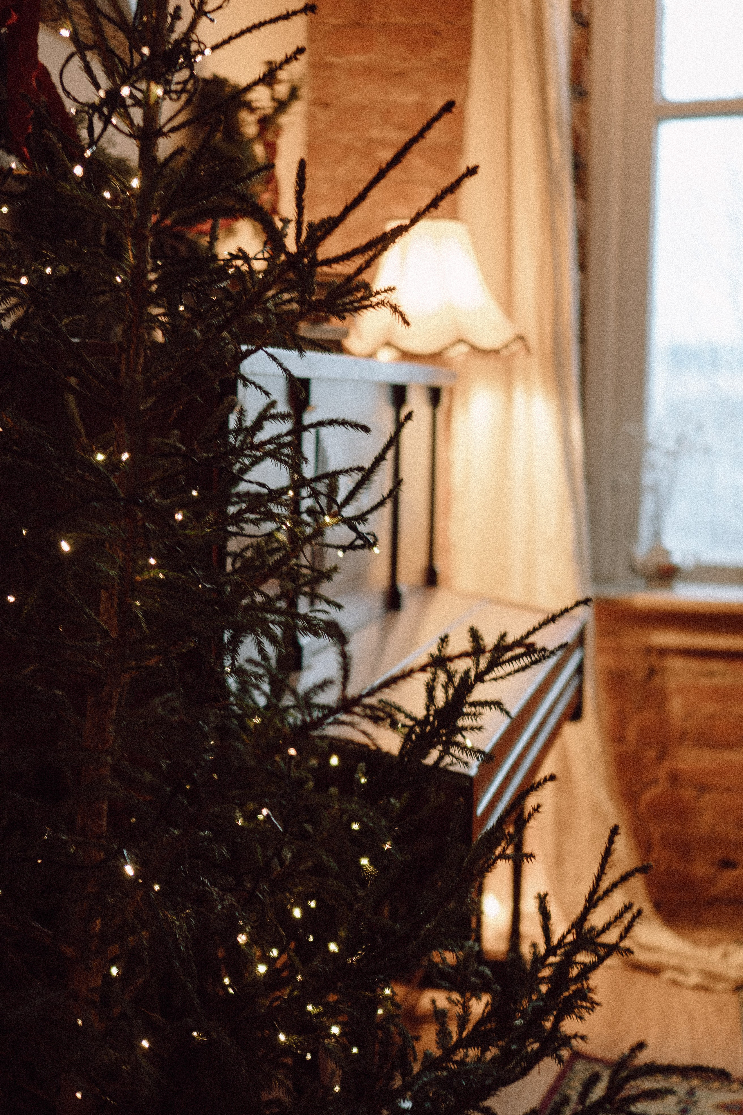 УТРО ЖЕНИХА И НЕВЕСТЫ В ФОТОСТУДИИ И ОСНОВНАЯ ФОТОСЕСИСИЯ ЗИМОЙ. Профессиональный фотограф, Санкт-Петербург — Виктория Богомолова