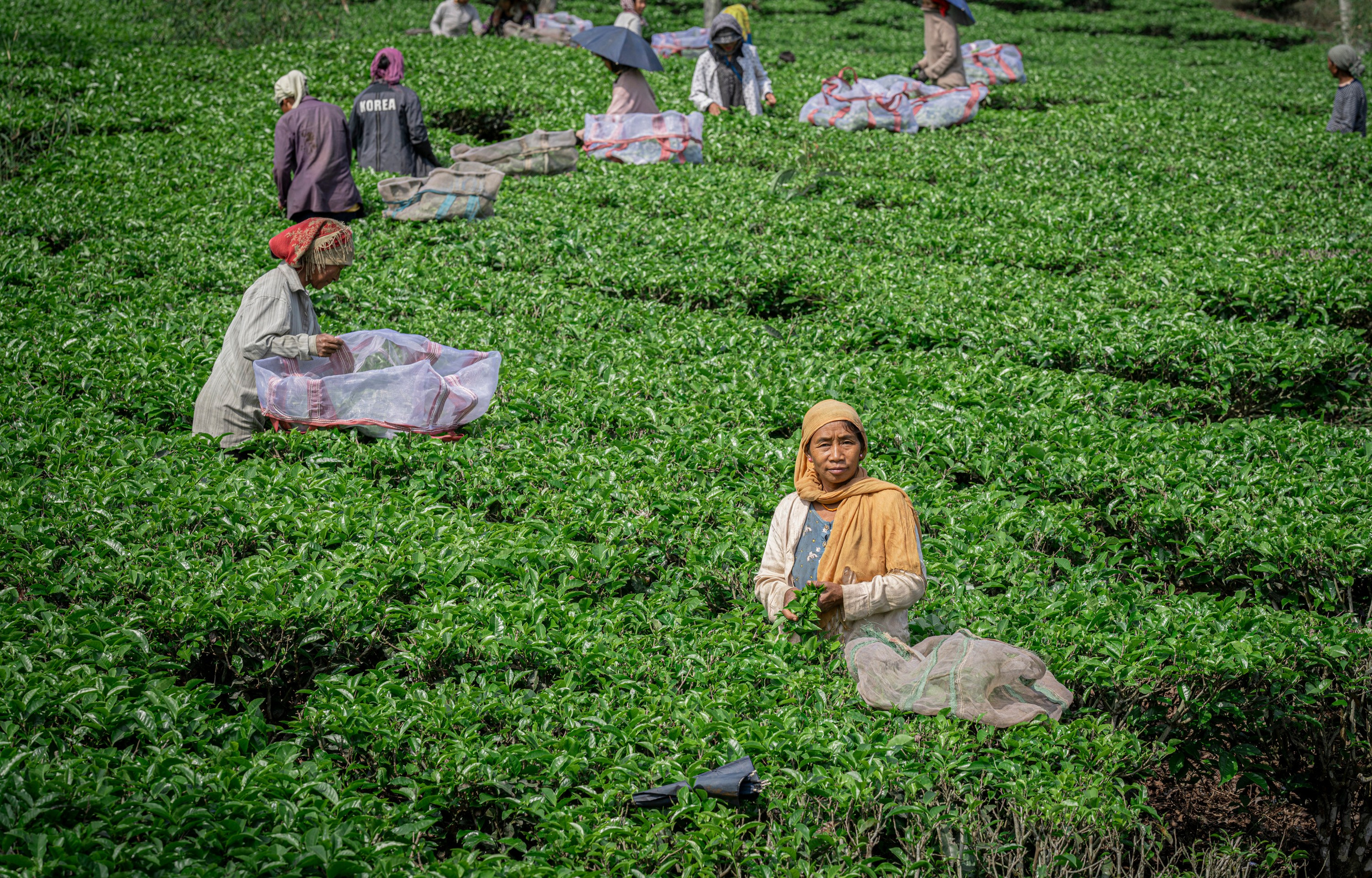 India travel. Фотограф Сергей Танков