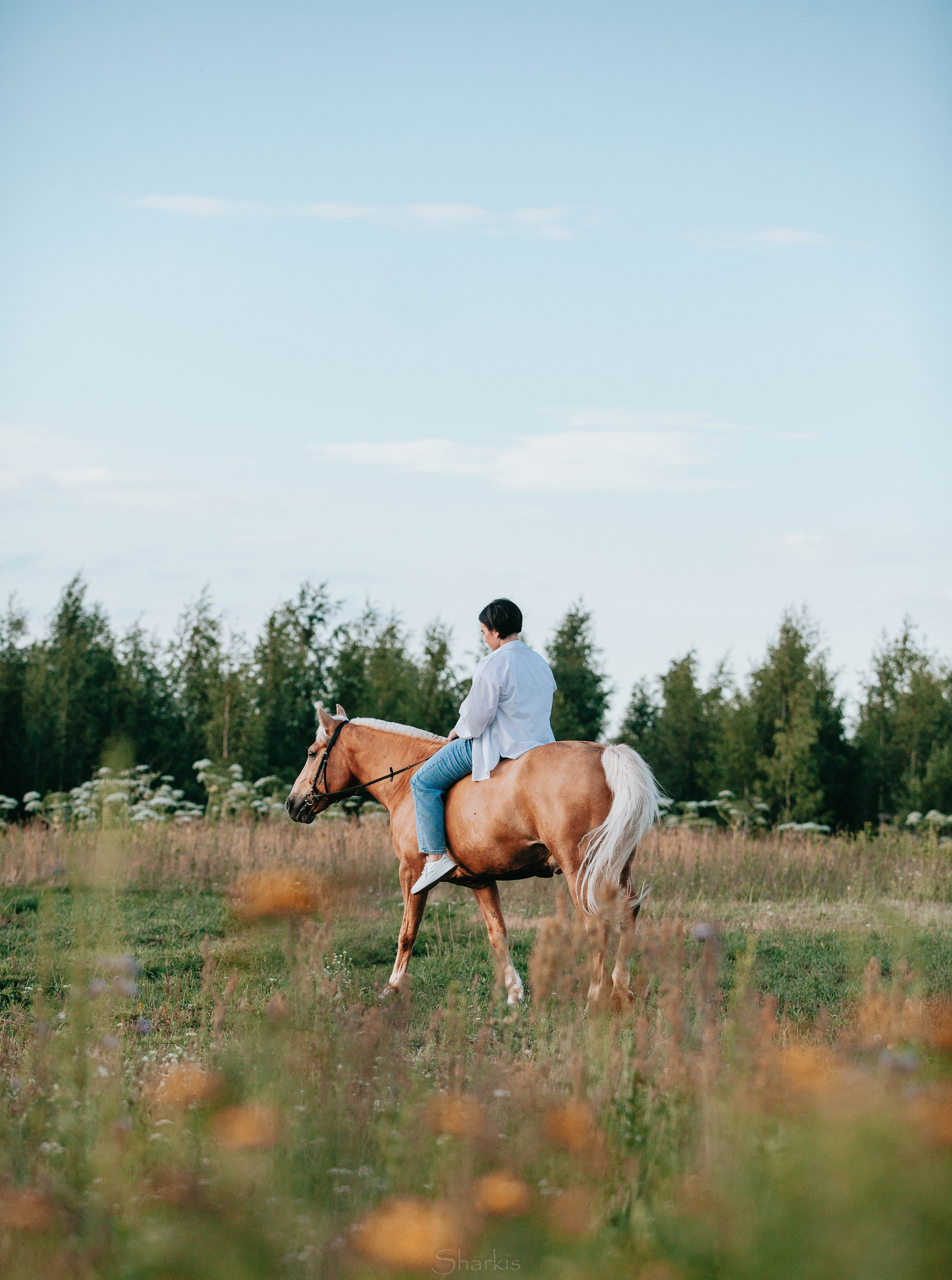 Алина и Гешефт. Главная
