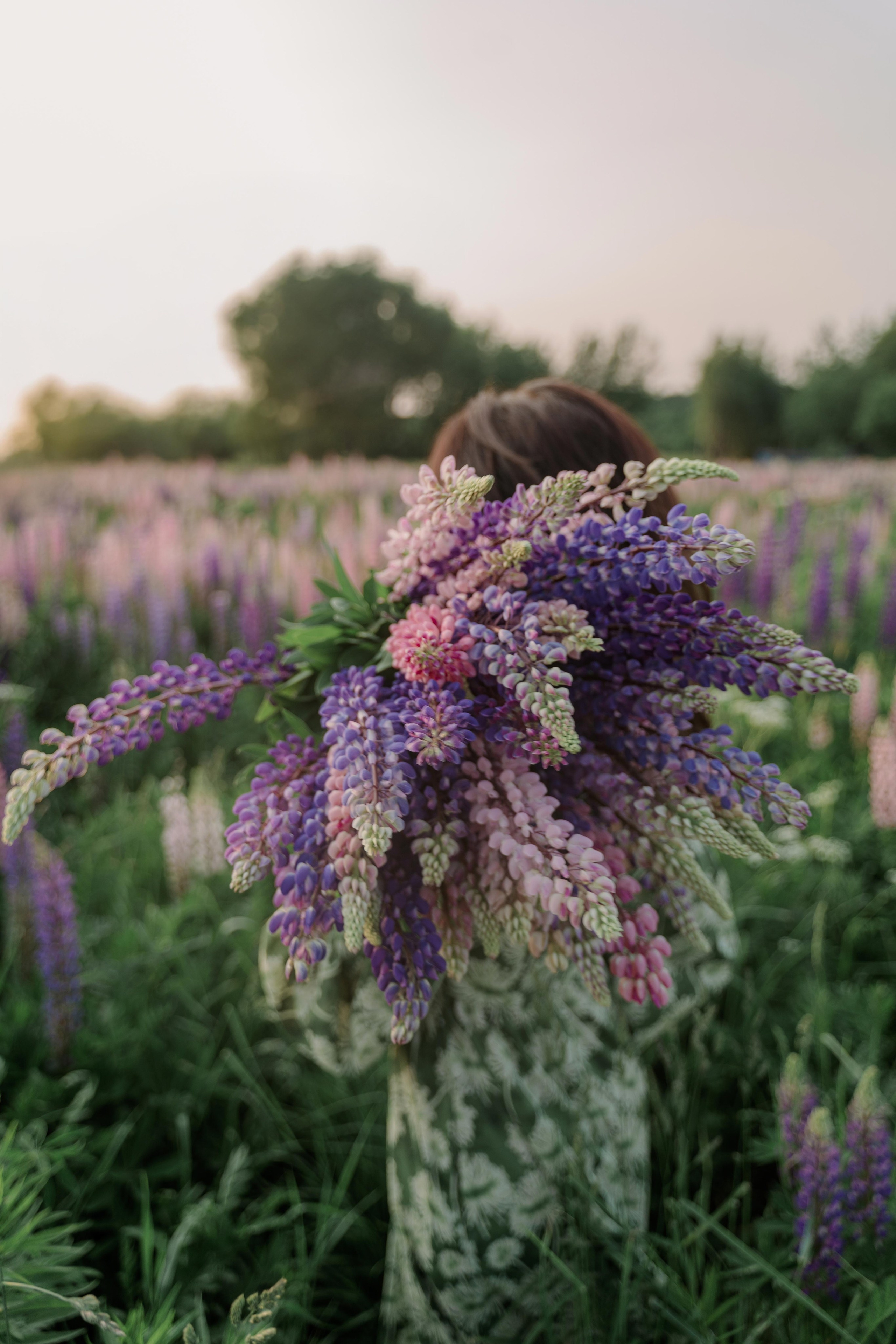 Наташа и люпины. Фотограф и видеограф в Москве и Абу Даби Мария Кулагина