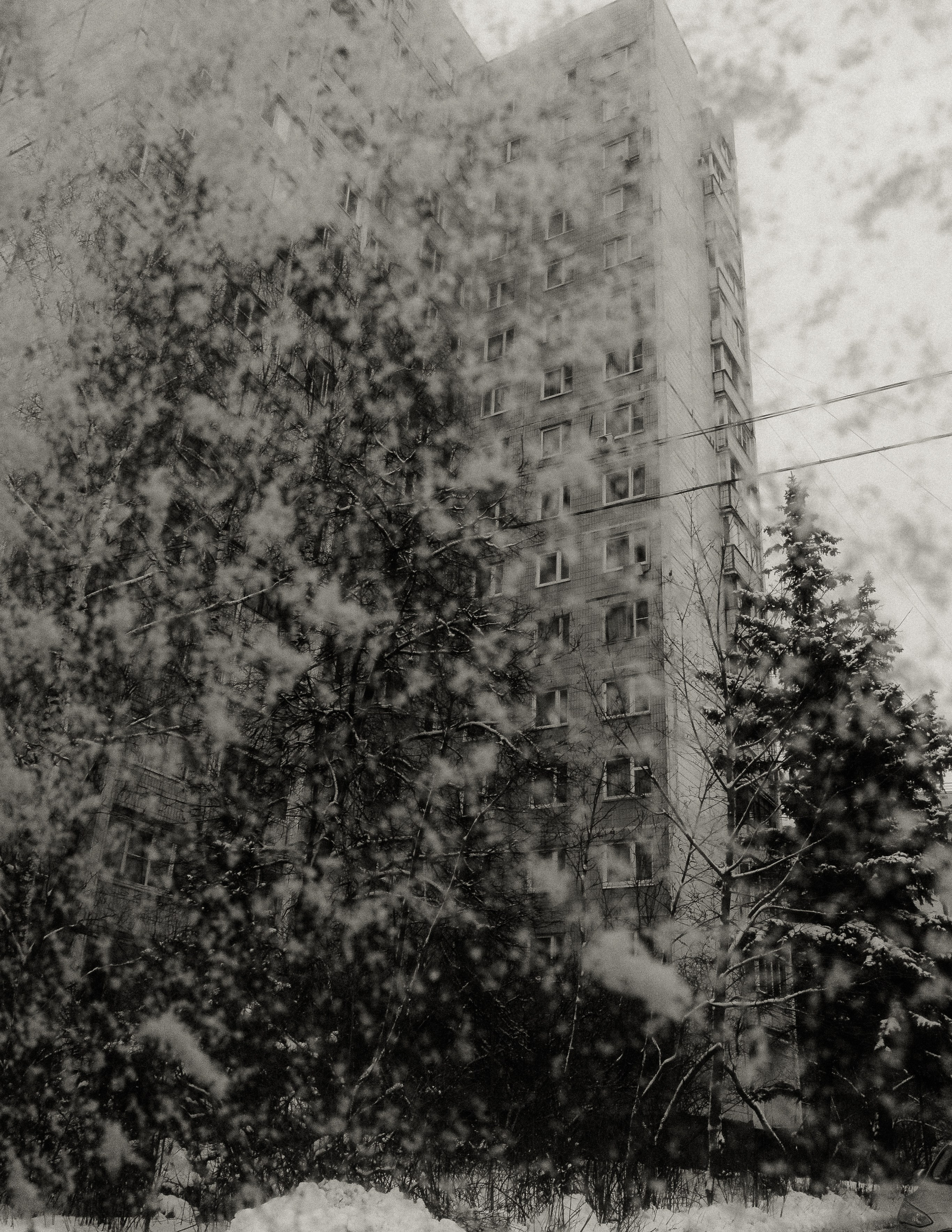 Саша Ковальчук — Репортажный Фотограф