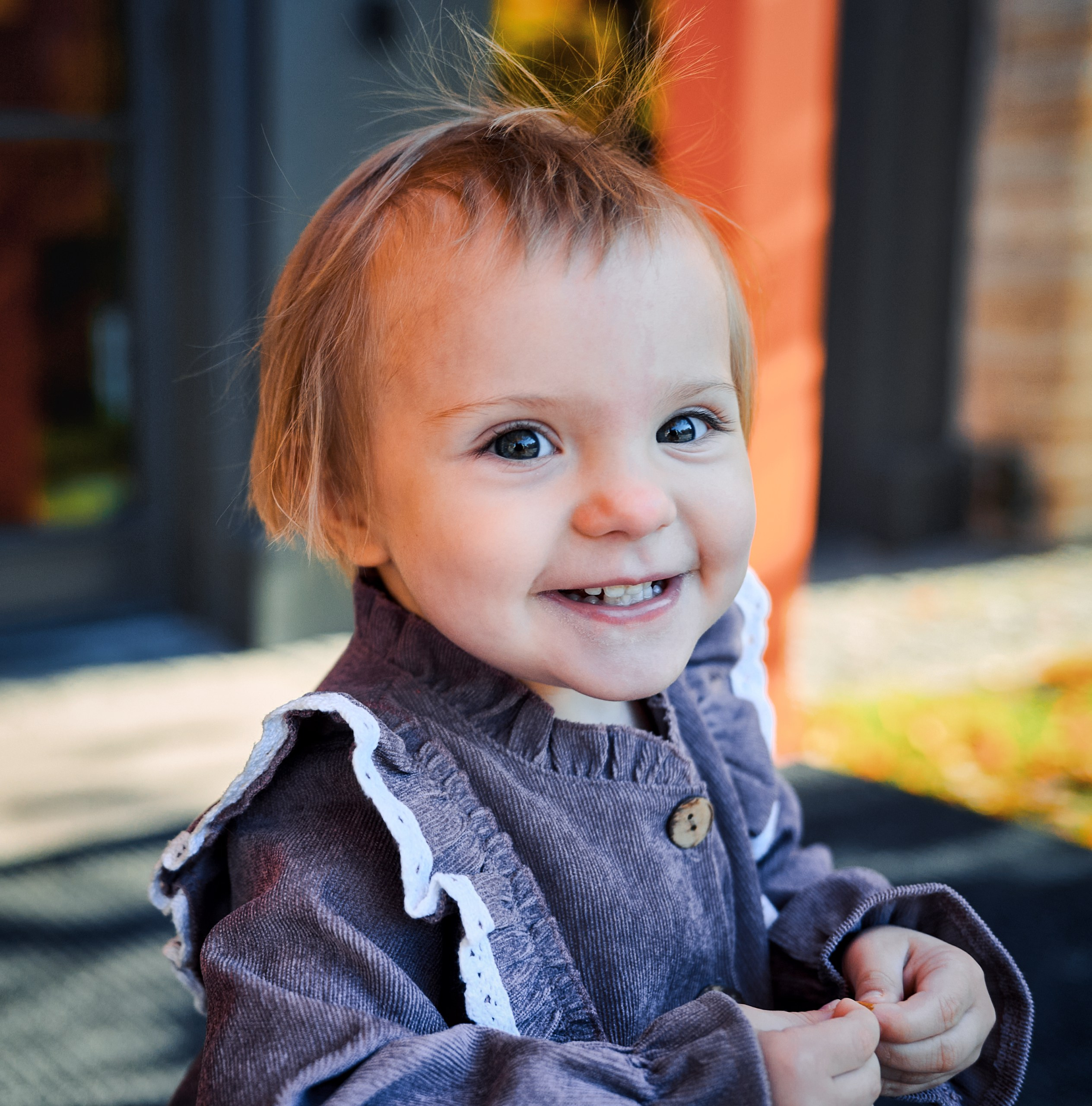 Осень в Новой Голландии. May the numbers guide us