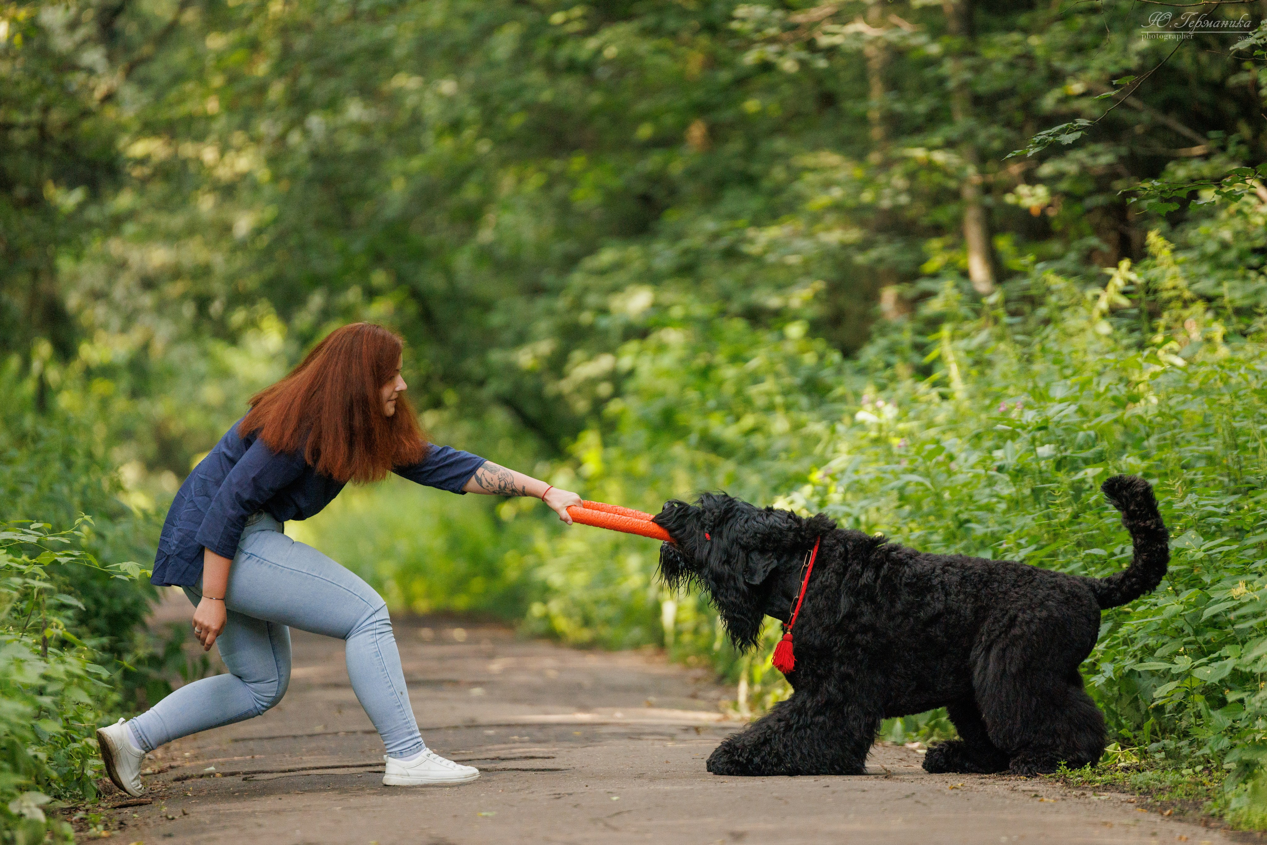 Фотосет Бригада УХ)). Фотограф-анималист Юлия Германика
