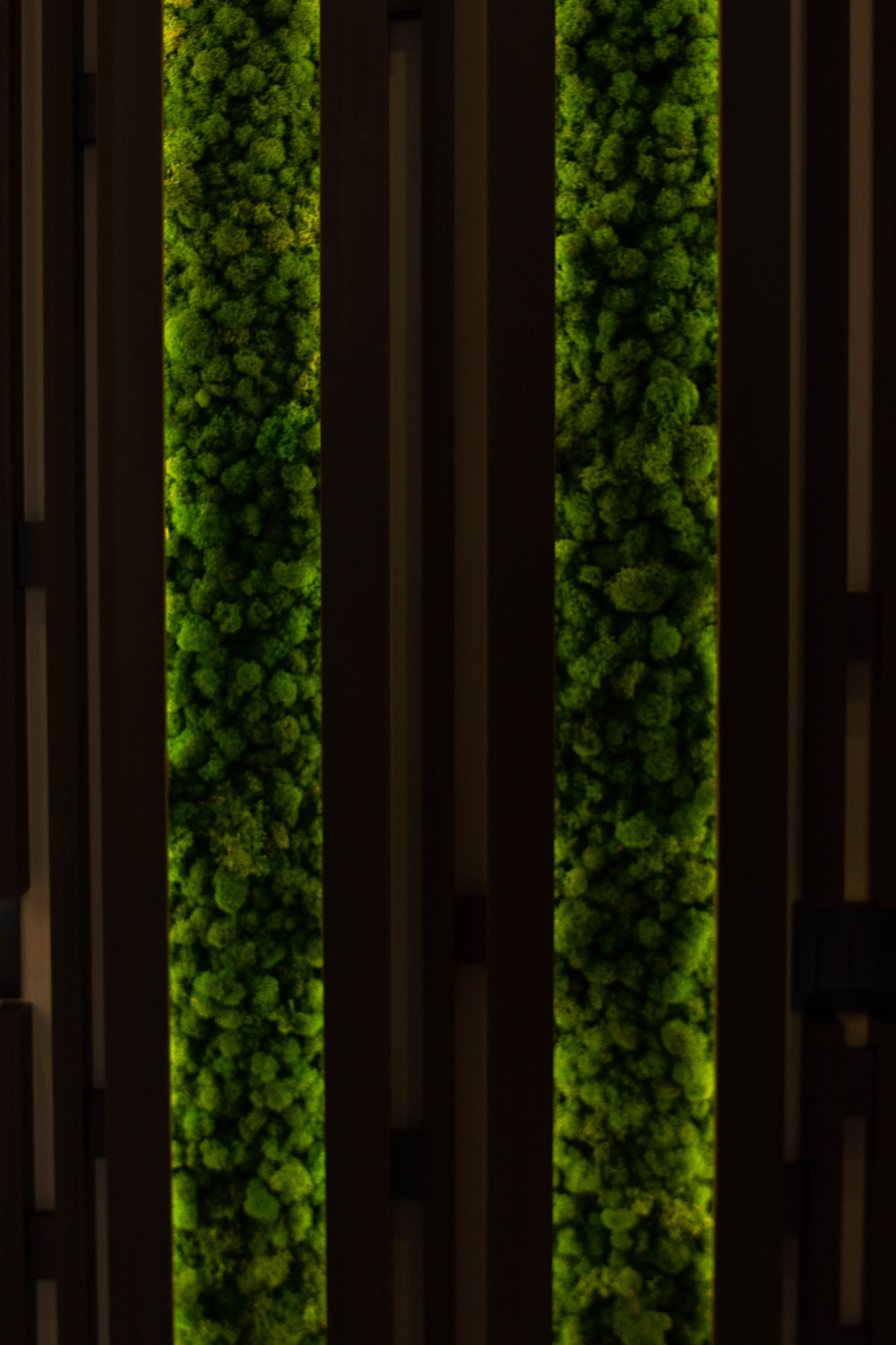 Резиденция Villingston. Коммерческий Фотограф Виктор Фоменых