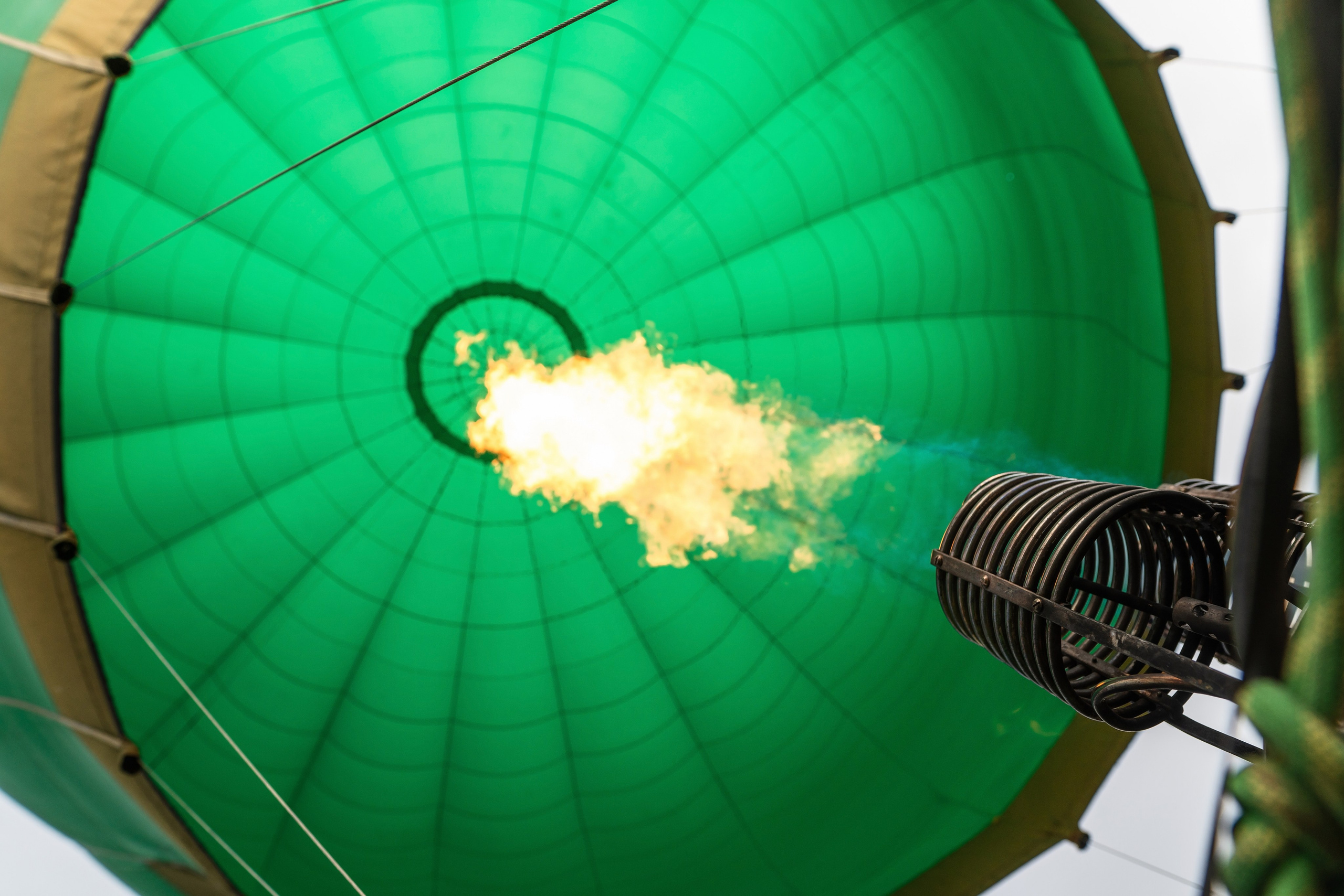 Фотограф на праздник Сочи. Фотограф Сочи