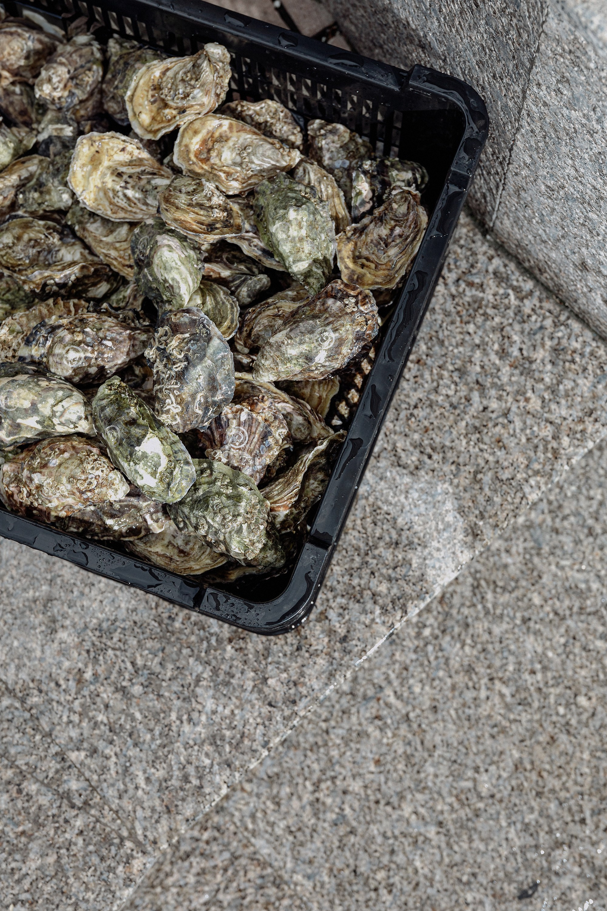 Fine dining. Репортажный фотограф в Алмате Чумаков Георгий