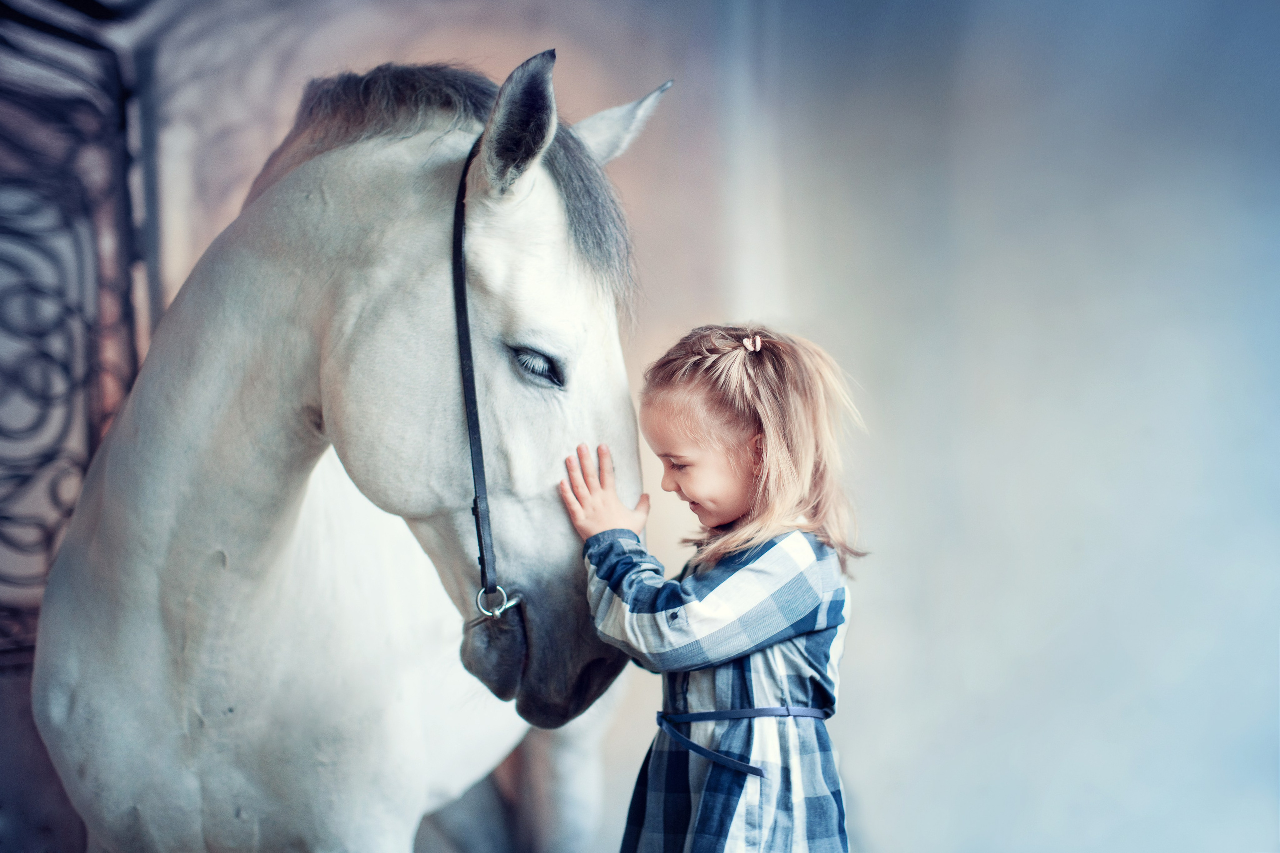 Портфолио. Карнеева Елена. Детский, семейный фотограф