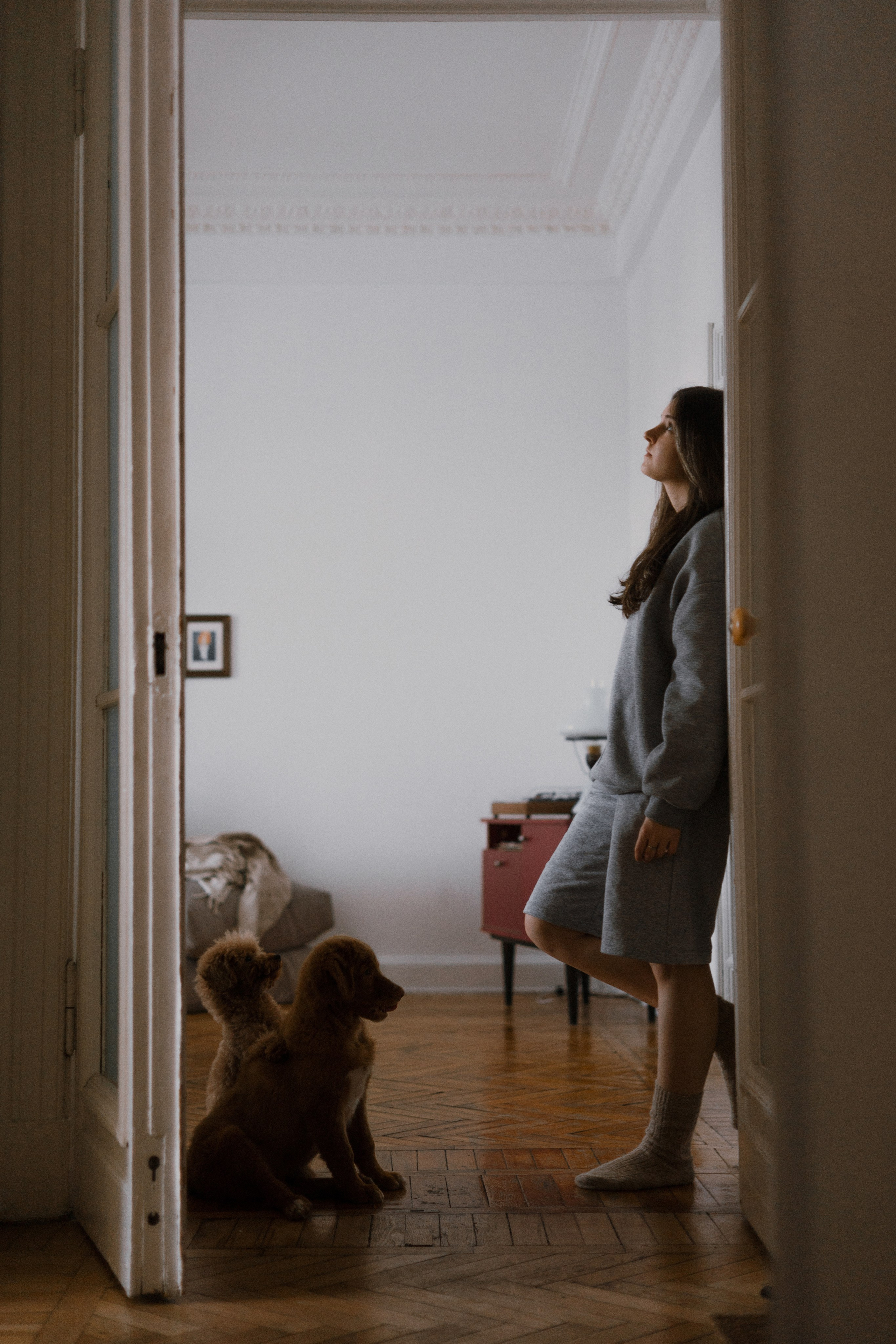 Маша, Одди и Нэвил. Фотограф-анималист Богданова Полина