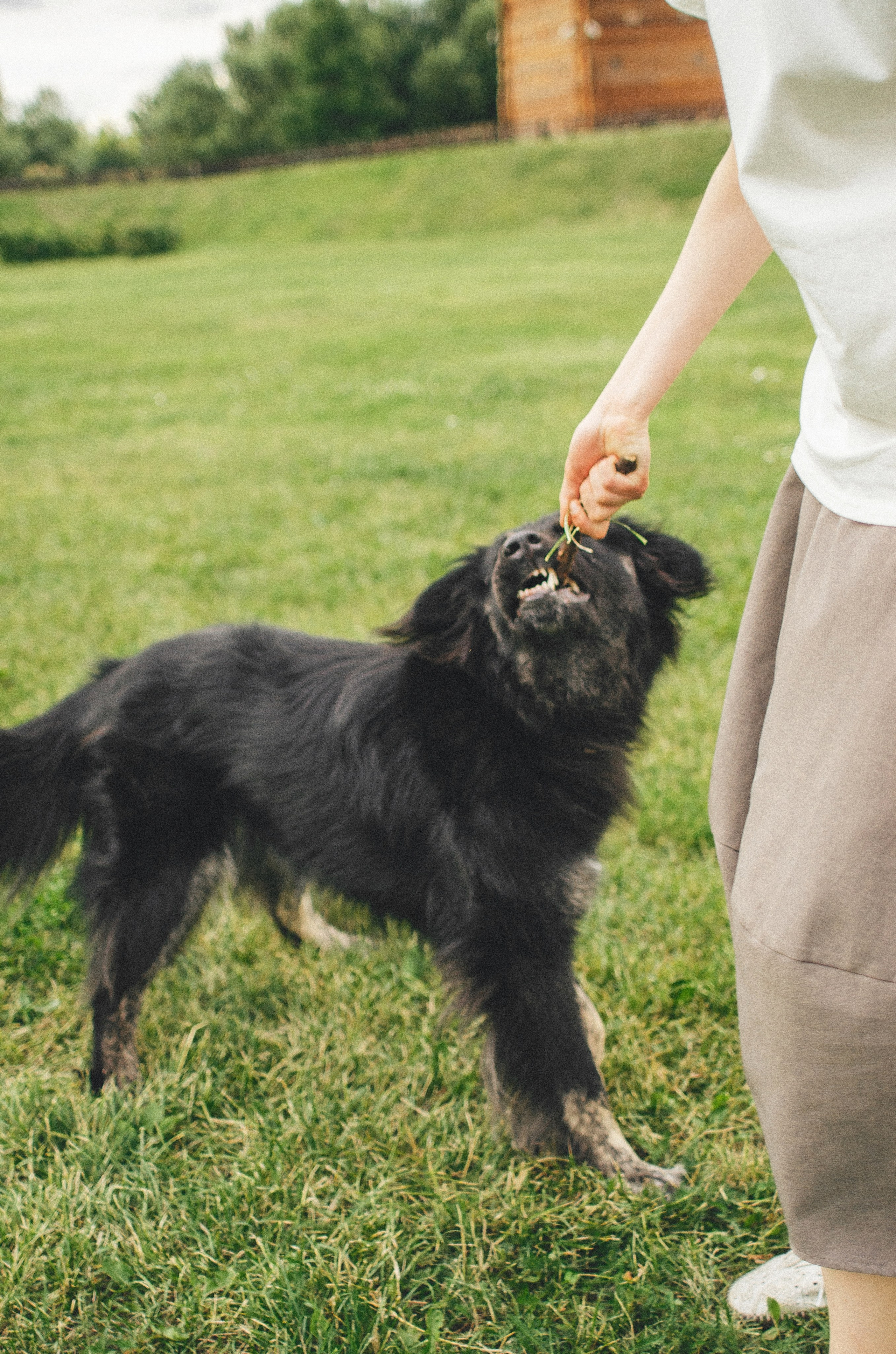 Анна и Марко. Фотограф-анималист Богданова Полина