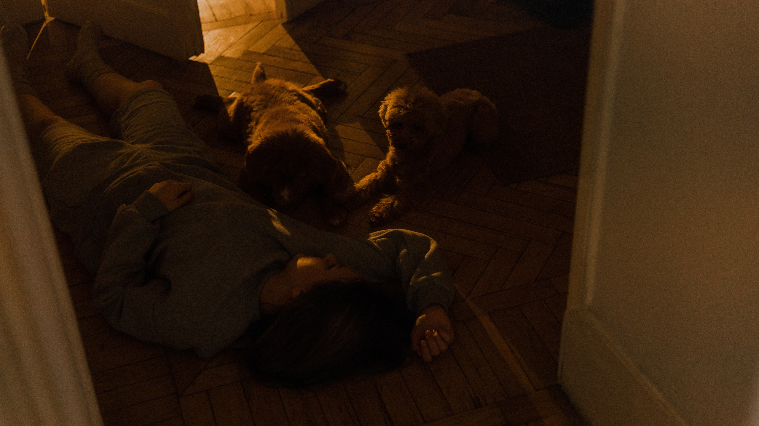 Маша, Одди и Нэвил. Фотограф-анималист Богданова Полина