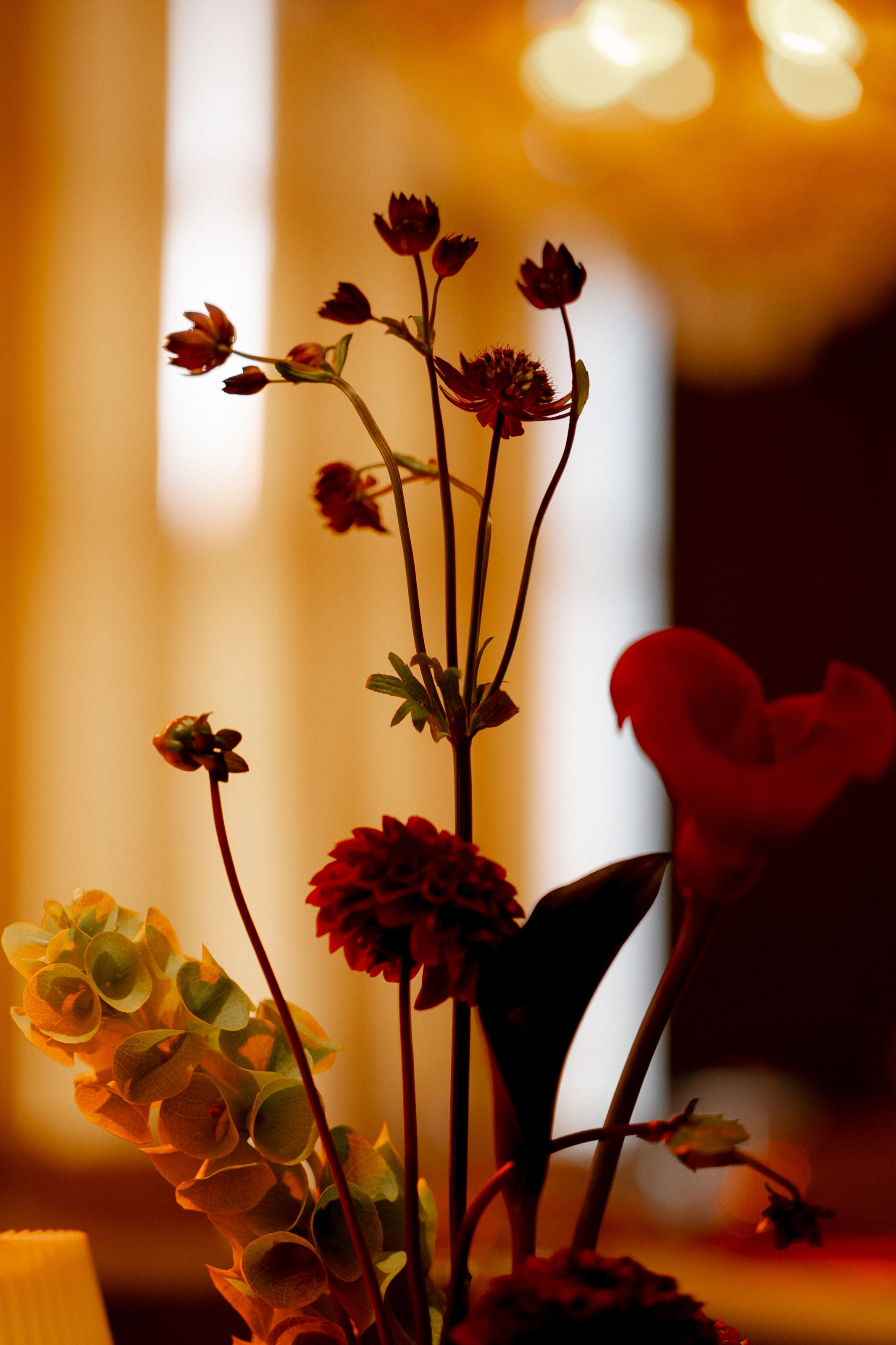 Казино. Полный день (сокращено). Семейный и портретный фотограф в Саратове Сахарова Маша