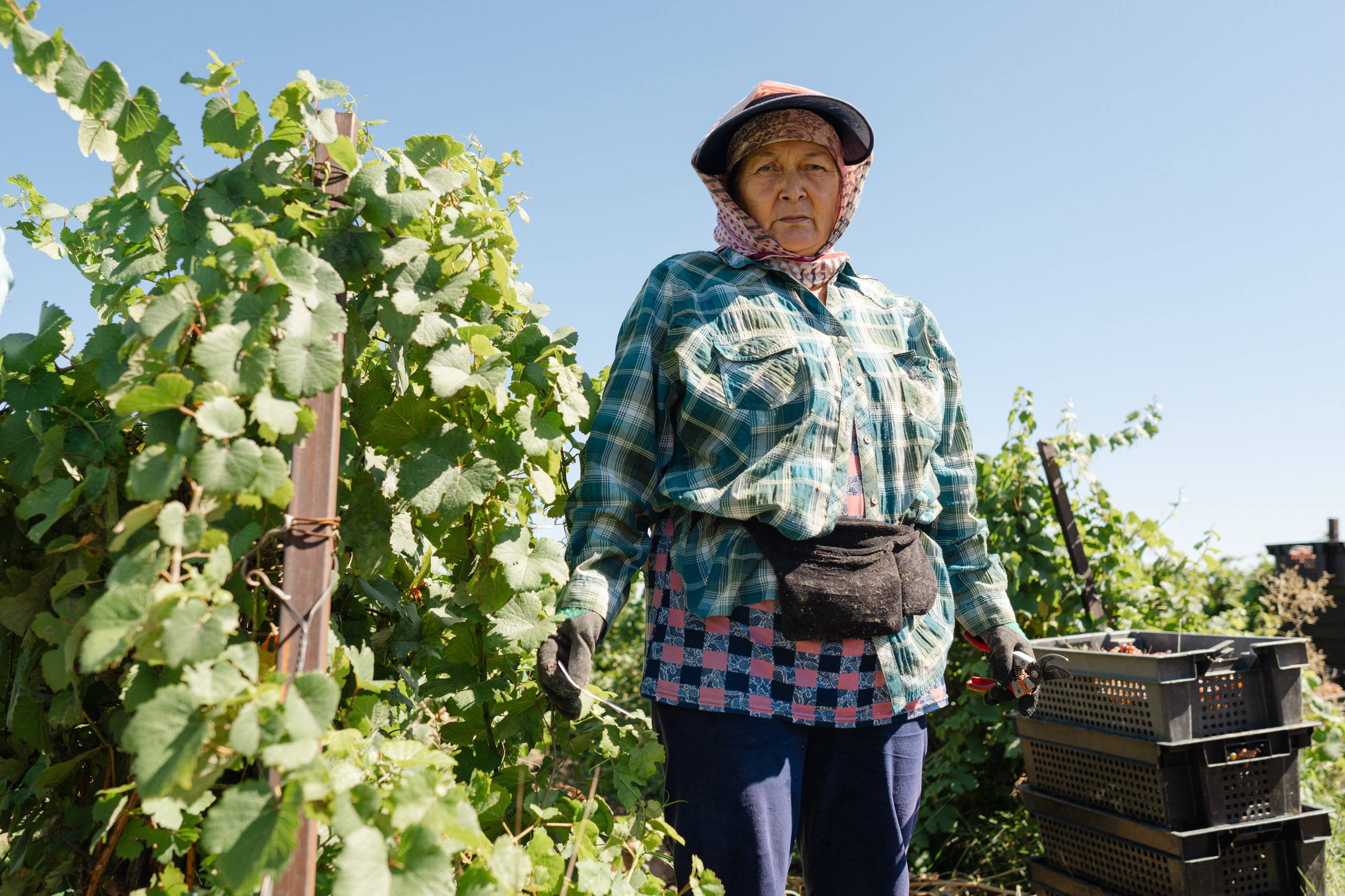 ArbaWine. Адиль Абильтаев|Фотограф|Астана
