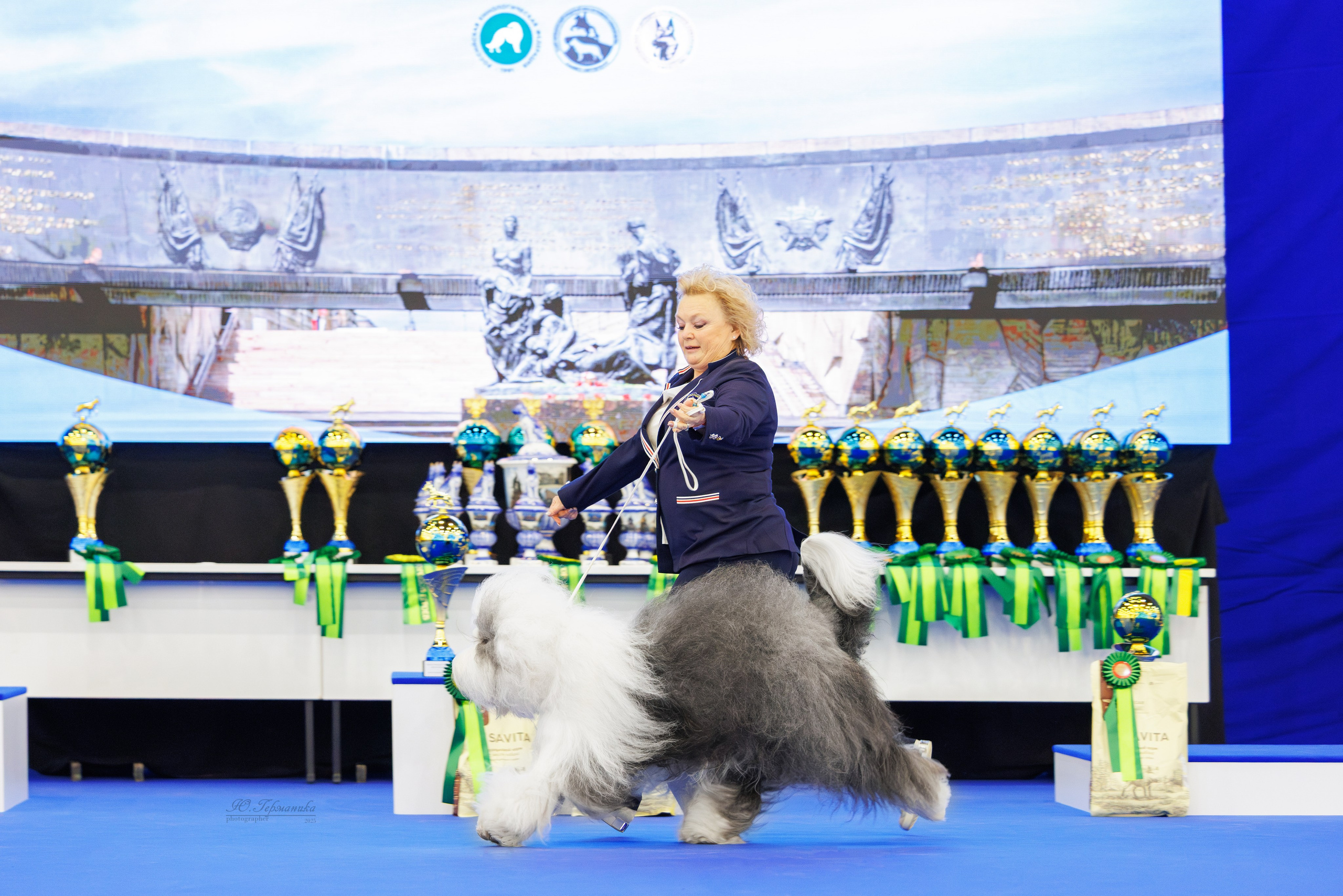 Питер 12-13.12.2025. Фотограф-анималист Юлия Германика