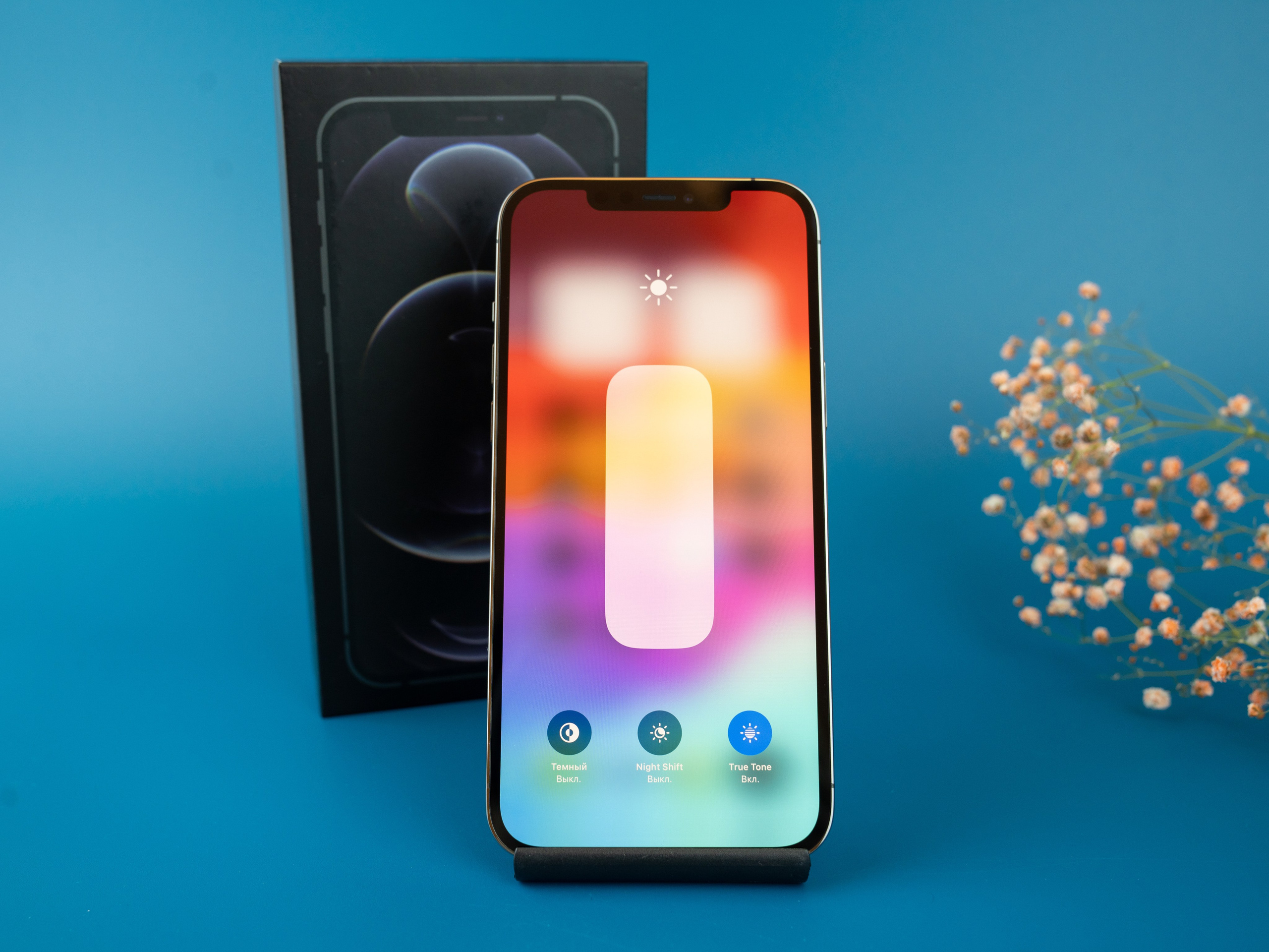 IPhone. Фотограф в Санкт-Петербурге Мария Александрова