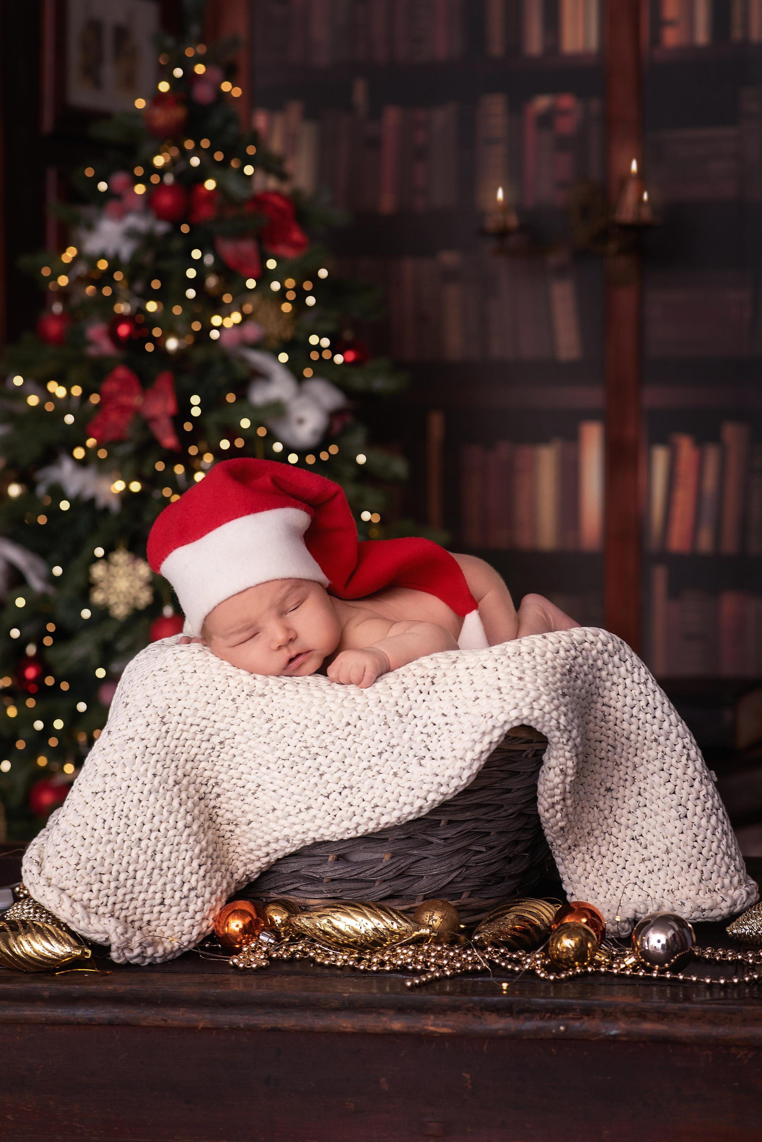 Новый год 🎄. Фотограф в Москве и Химках Тревогина Виктория