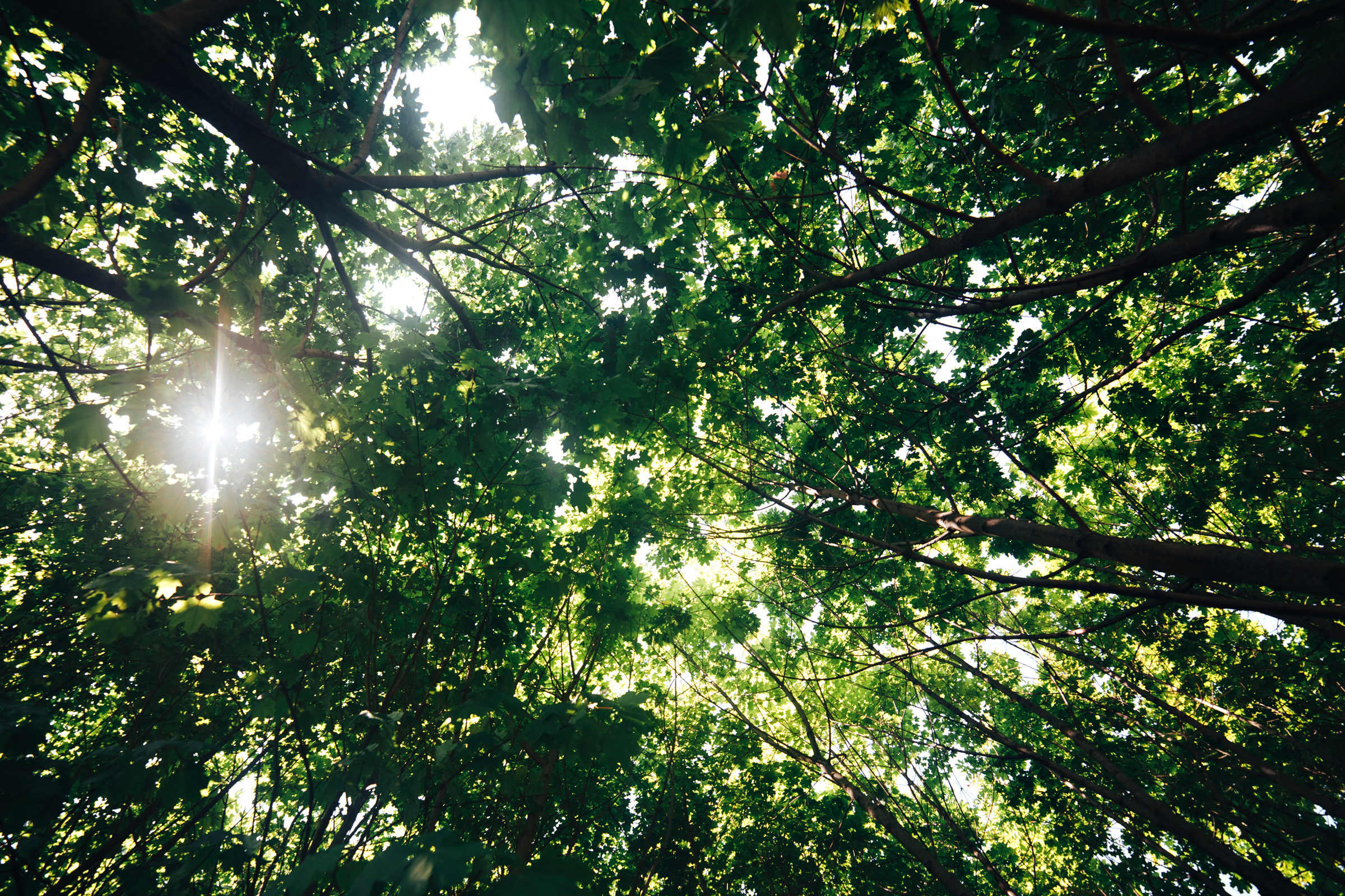 A-FEST 2017. Репортажный фотограф Александр Задорин, Минск, Беларусь