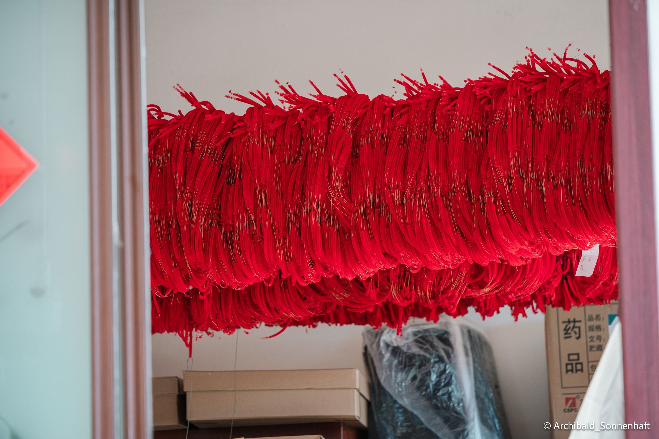 真丝绒绣技艺. Photographer in Guangzhou, China. Archibald Sonnenhaft