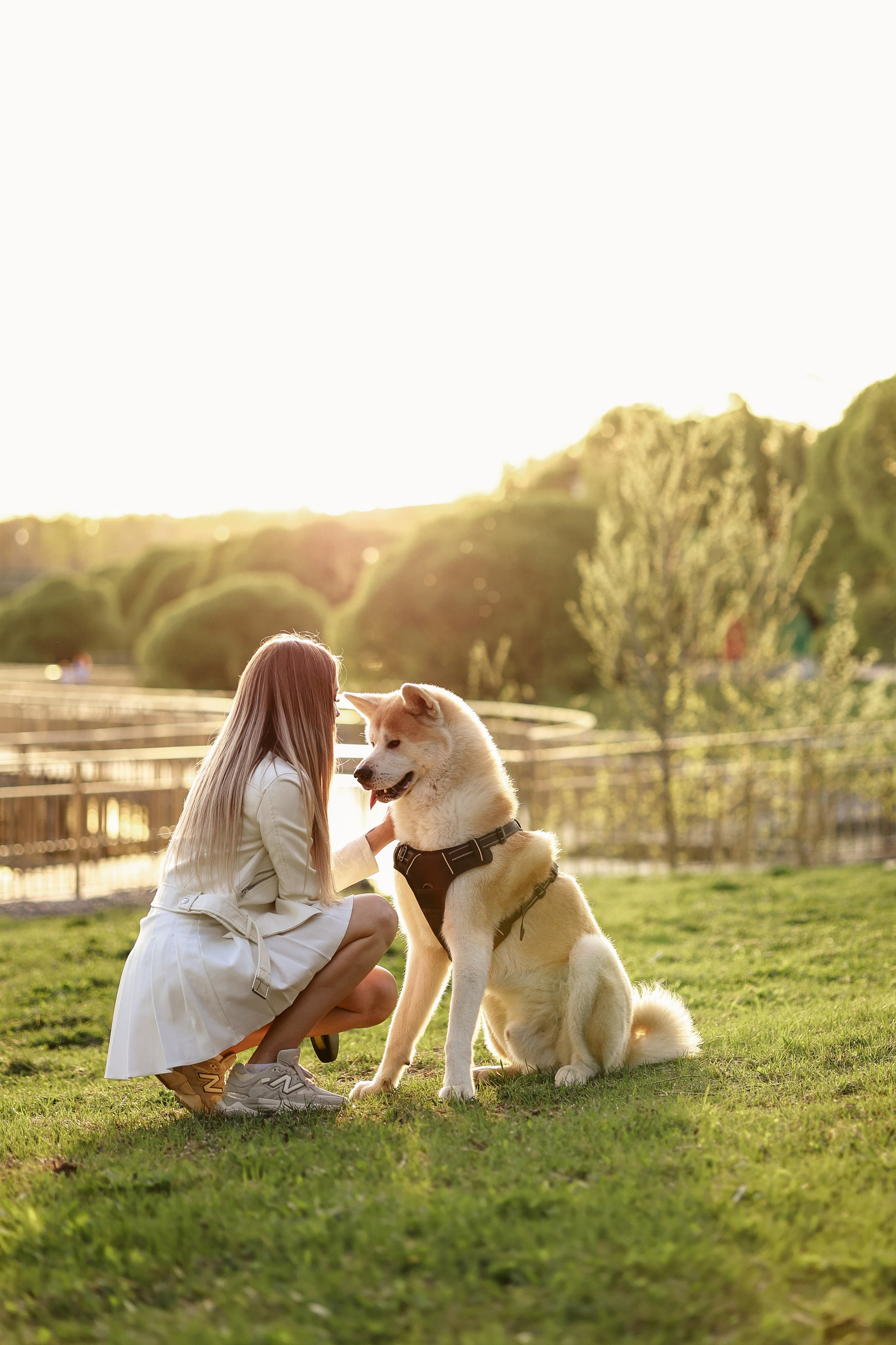 Lifestyle with Dog. Фотограф Юлия Говор
