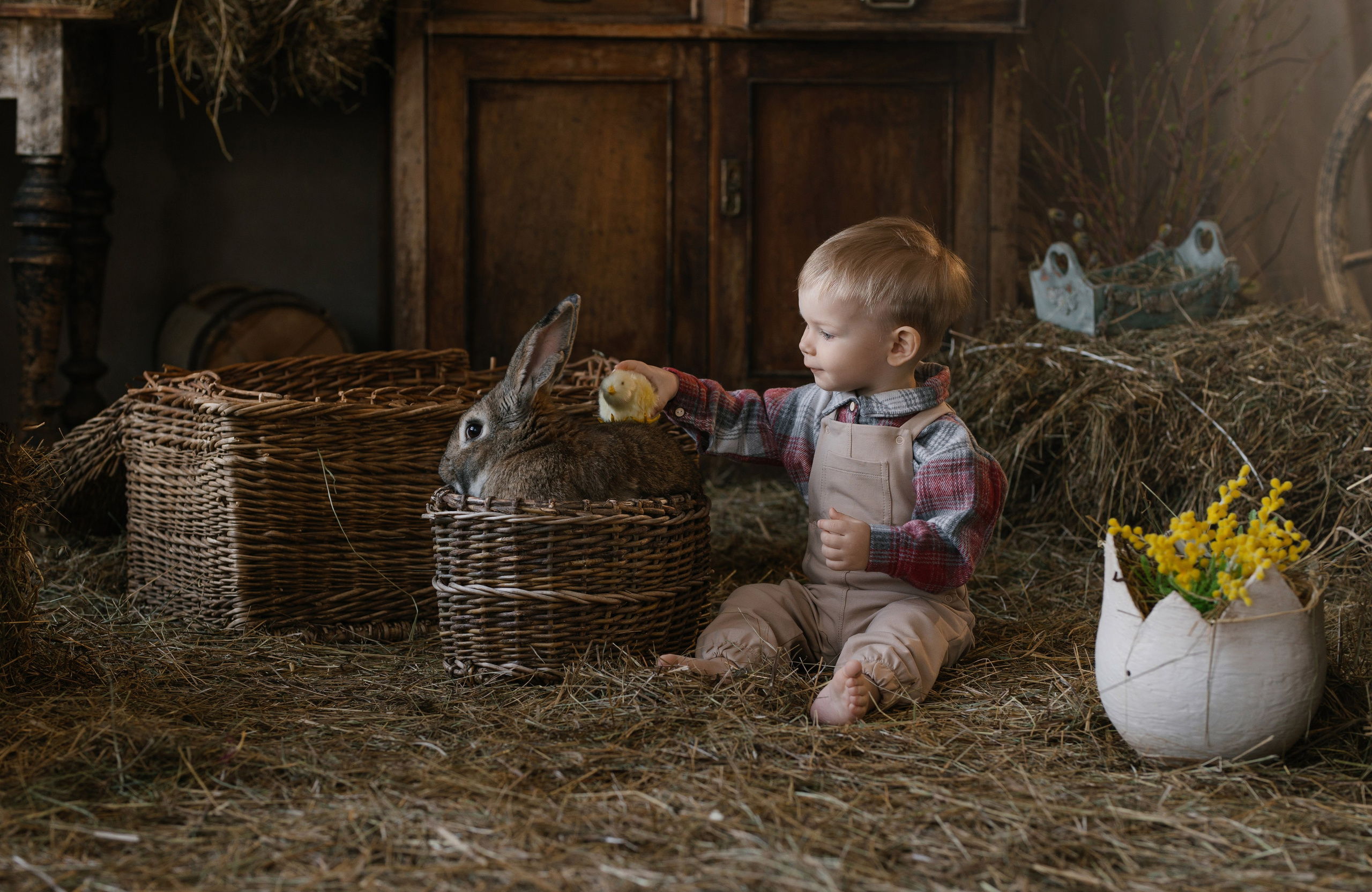 Фотопроекты. Фотограф в Нижнем Новгороде, Дзержинске Олеся Хозяева