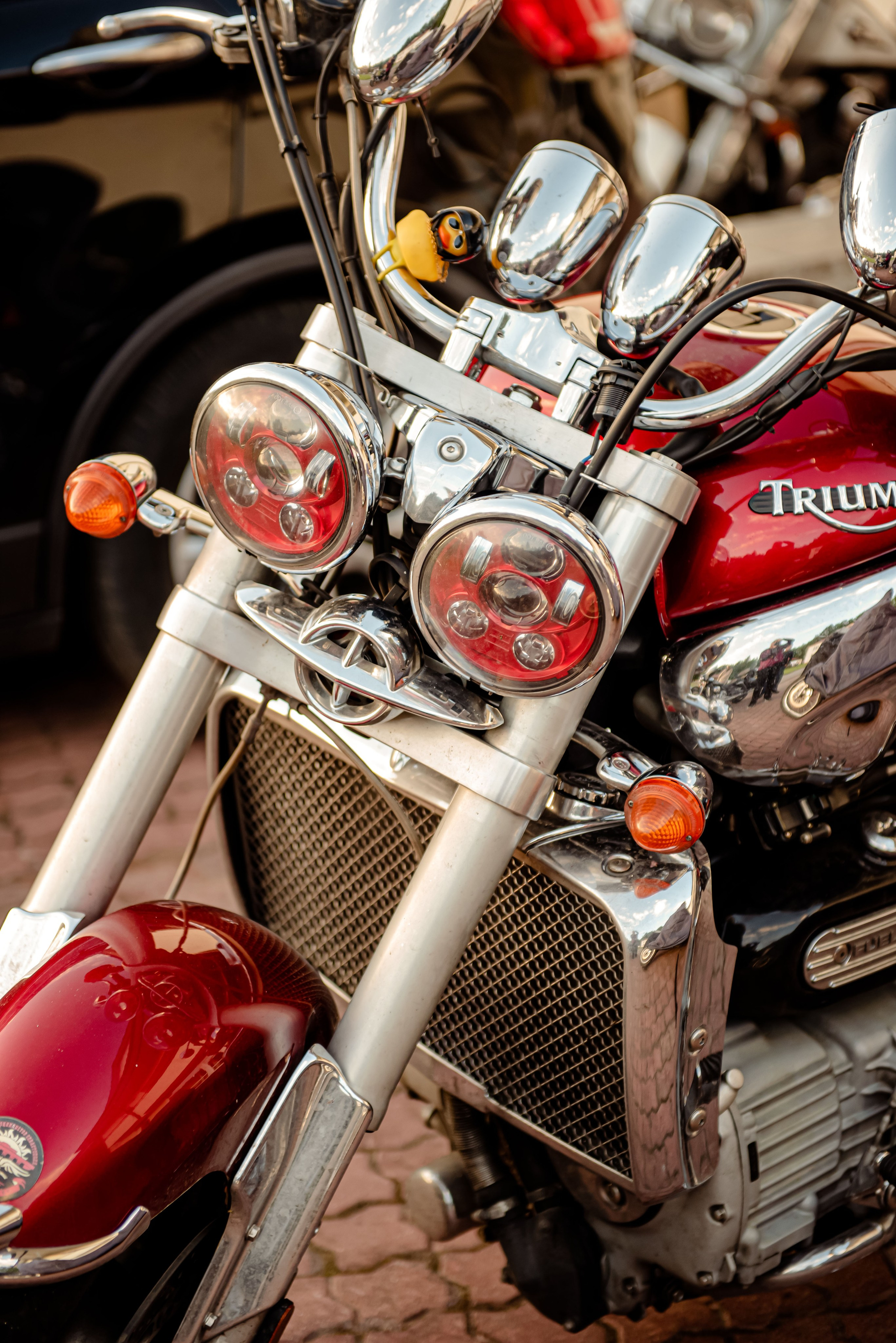 Мотофестивали. Фотограф в Москве