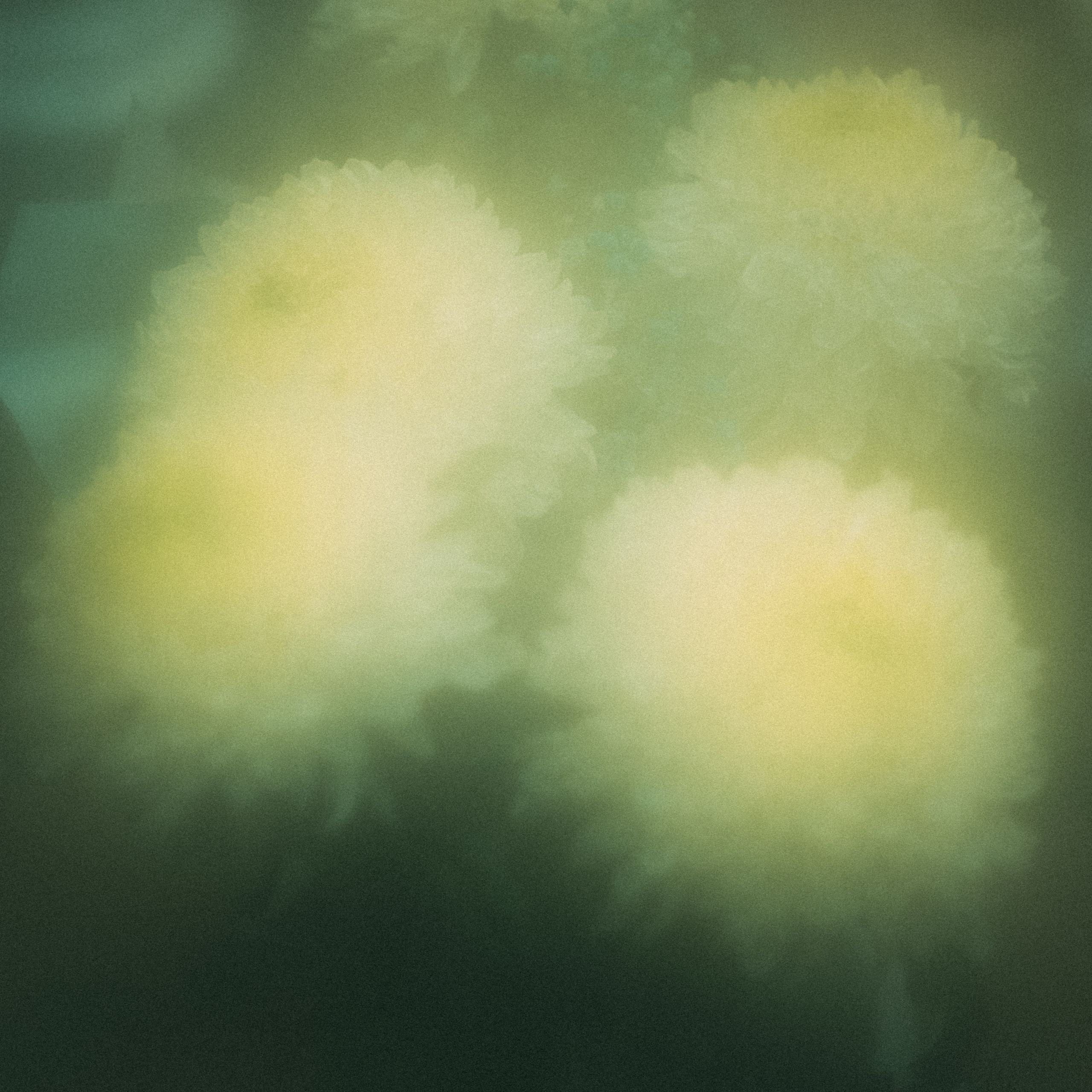 Дневник. Фотограф из Хакасии Элина Кичеева