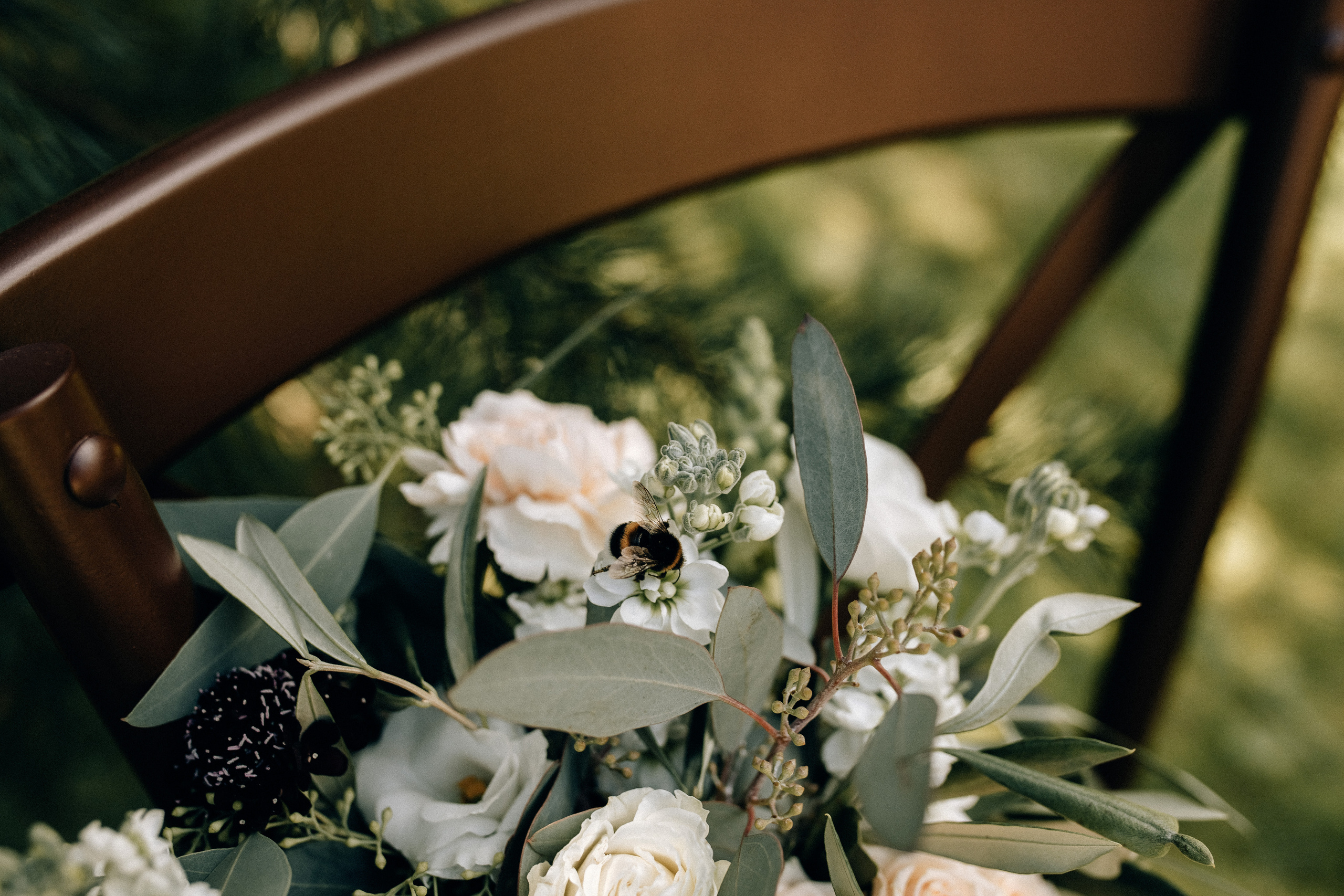 Forest. Свадебный фотограф Ярославль, Рыбинск