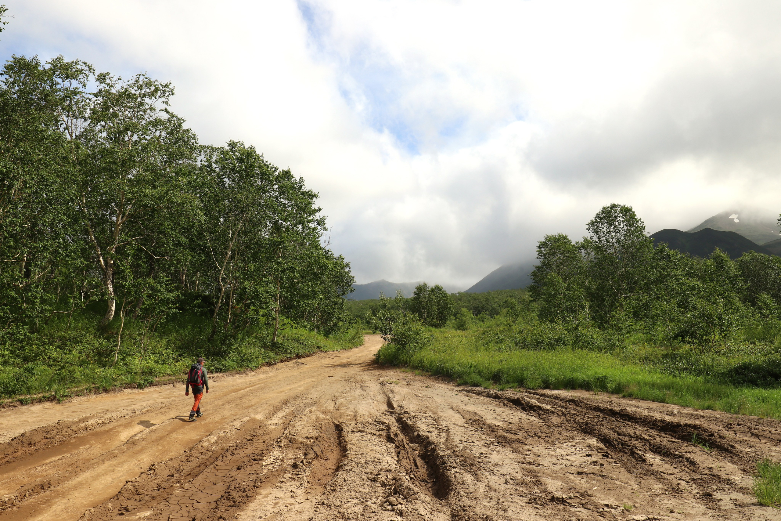 Камчатка и о. Парамушир. Июль 2024. Путешественник-фотограф из Санкт-Петербурга Татьяна Свистулина