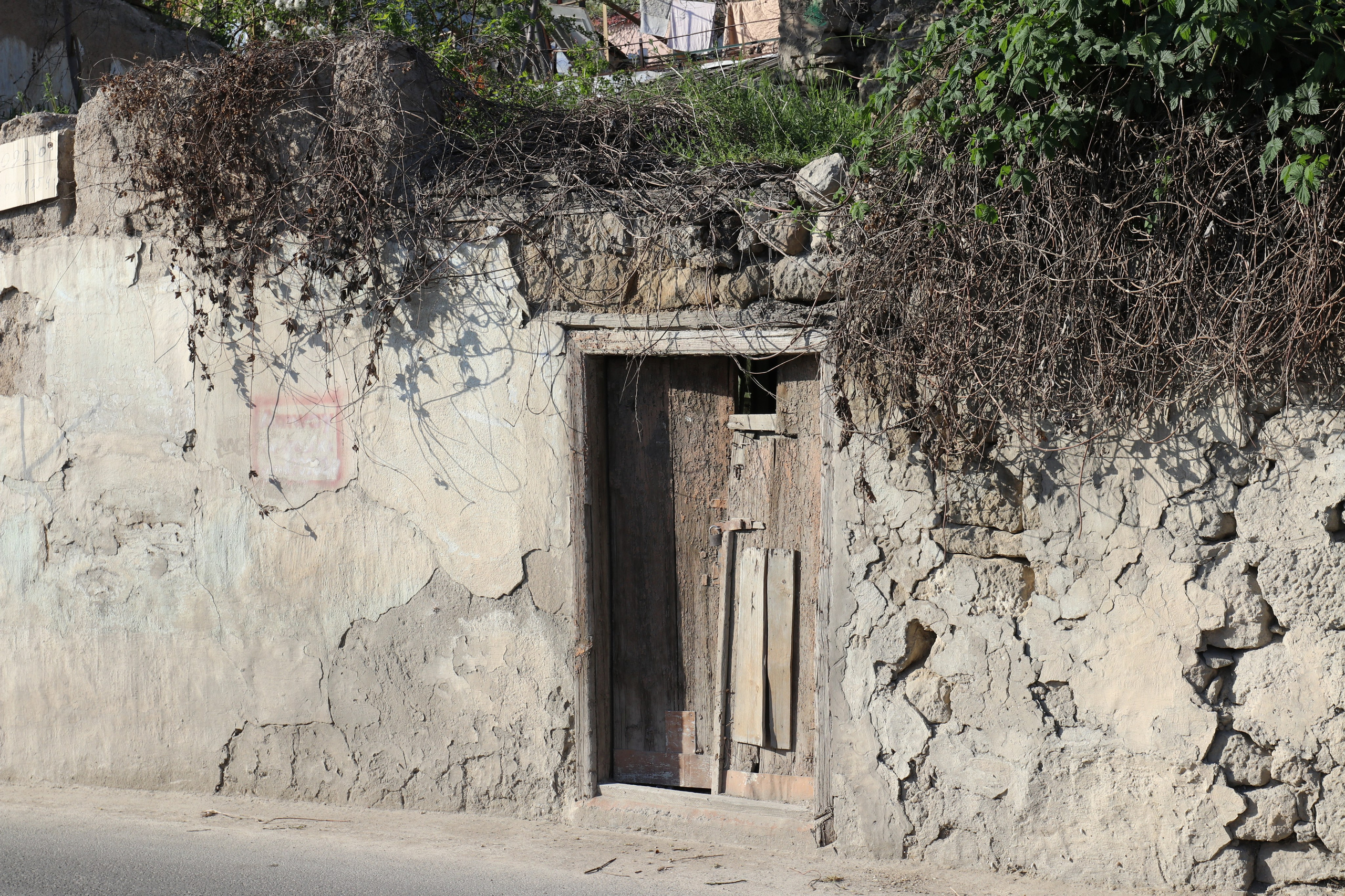 Крым. ЮБК (Бахчисарай, Кастрополь, Таракташская тропа). Май 2021. Путешественник-фотограф из Санкт-Петербурга Татьяна Свистулина