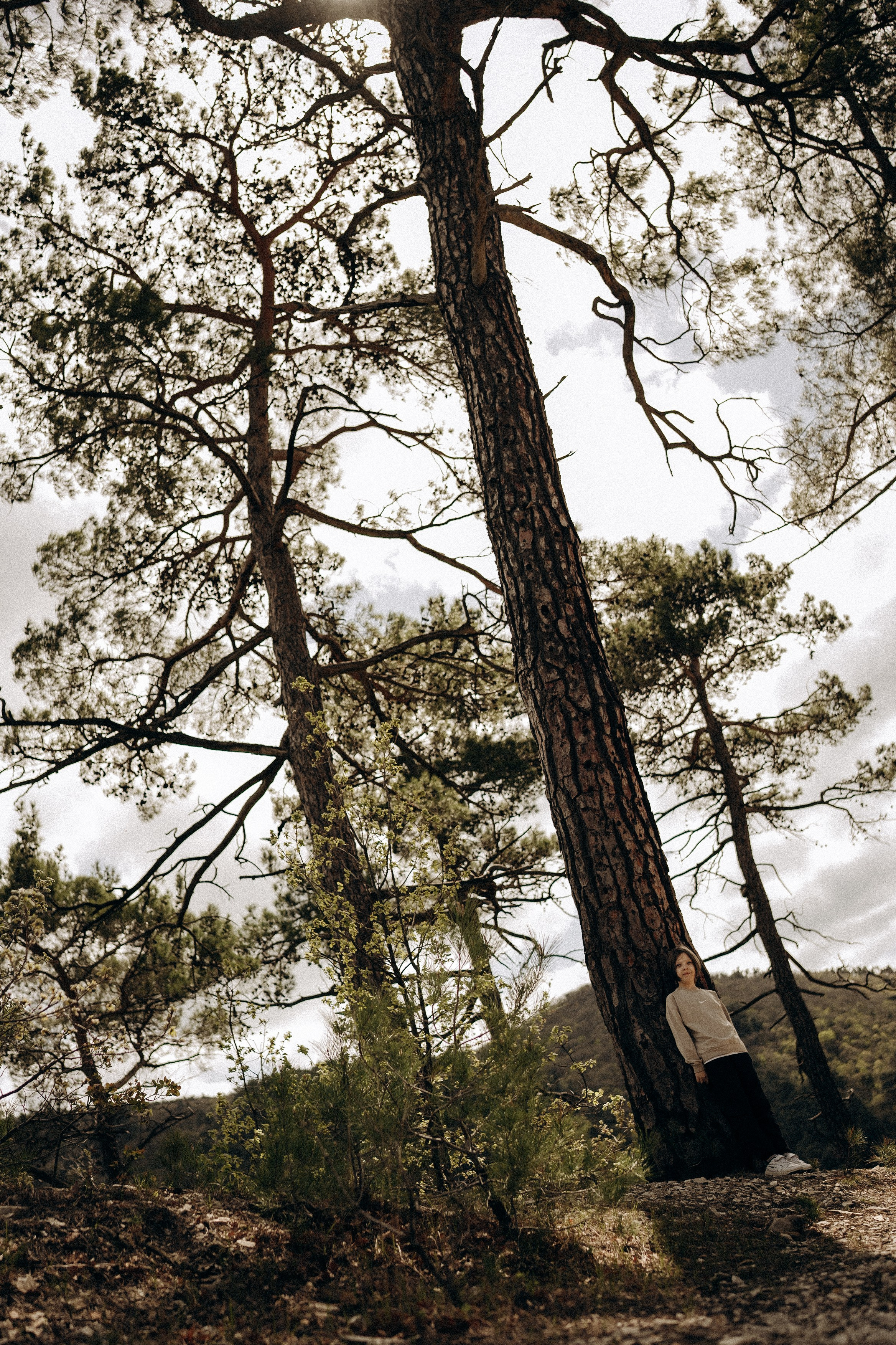 Лера, Тёма, Марли & Mini cooper. Дмитриева Светлана женский и семейный фотограф Рига, Москва, Геленджик