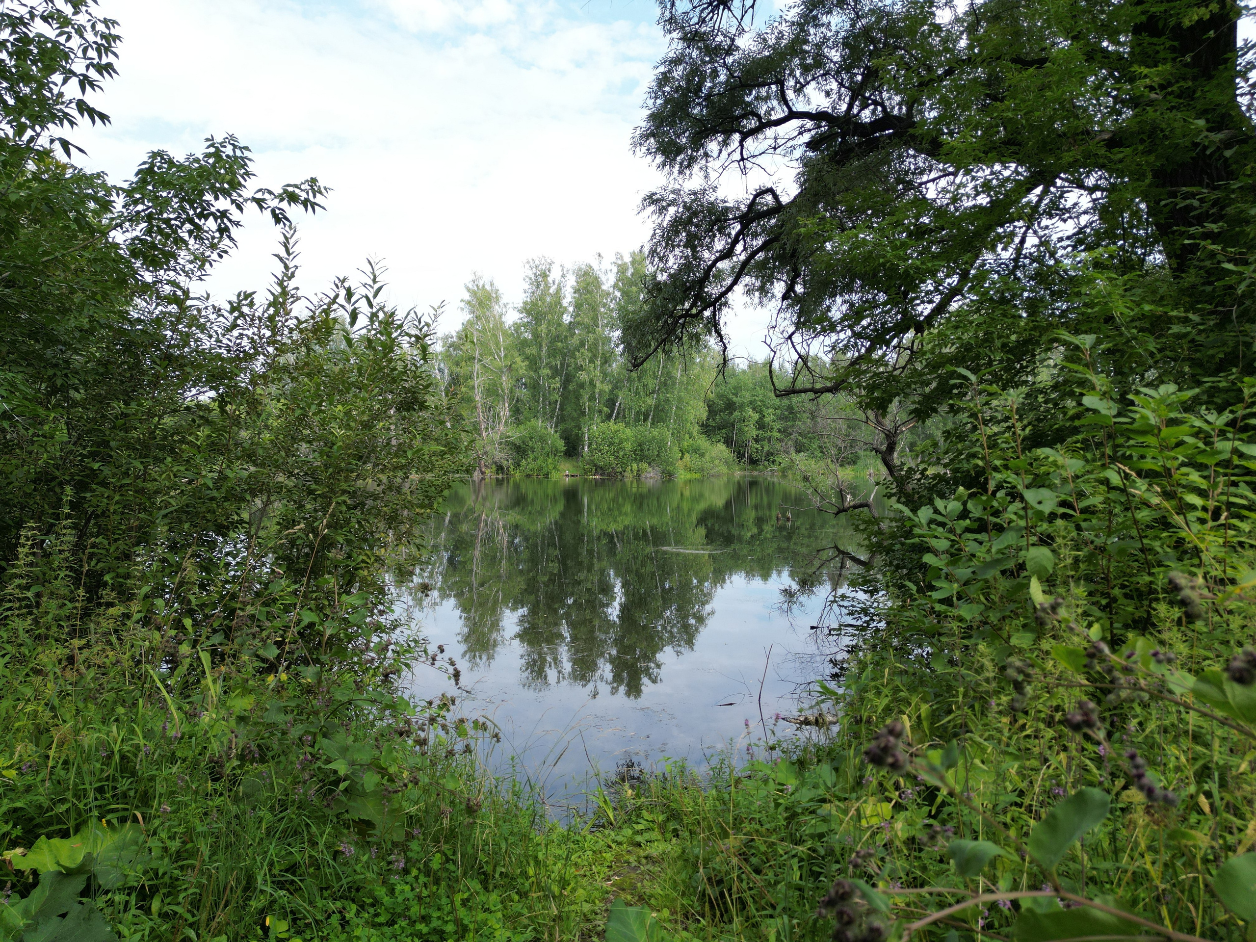 Сибирия (исходные видео). Mintonov's Film Studio