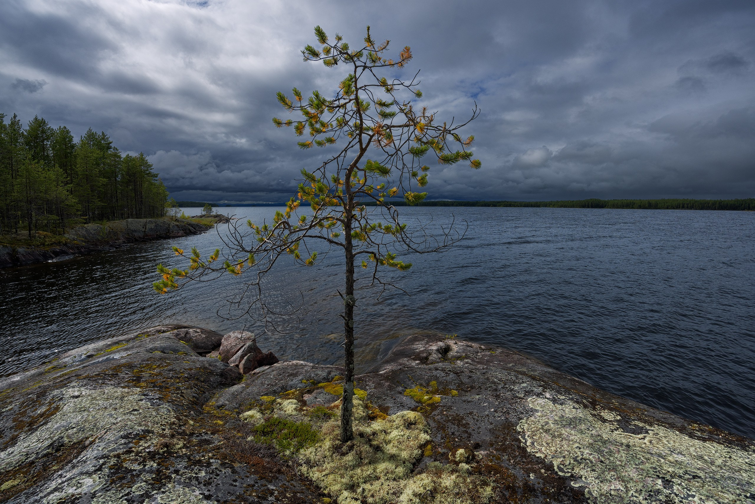 Пейзажи. Сайт фотографа Елены Михайловой. Фотосессии на пленэре в Сестрорецке