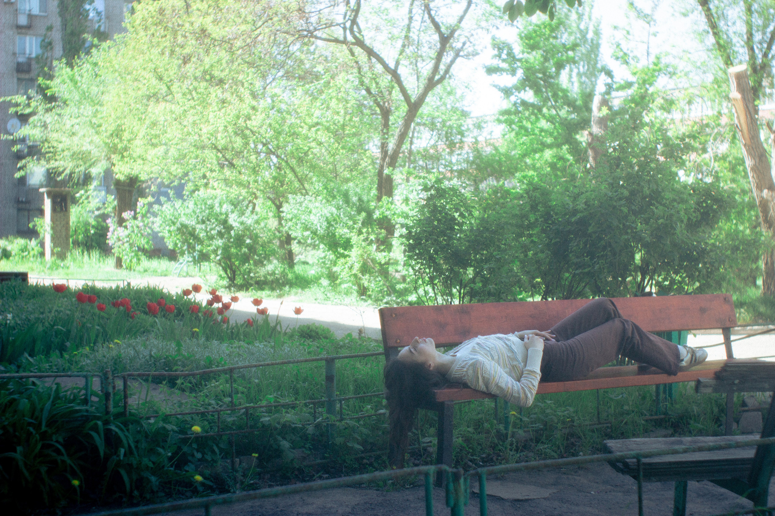 Земля смеётся цветами. • Фотограф Александра Светозар Алчевск •