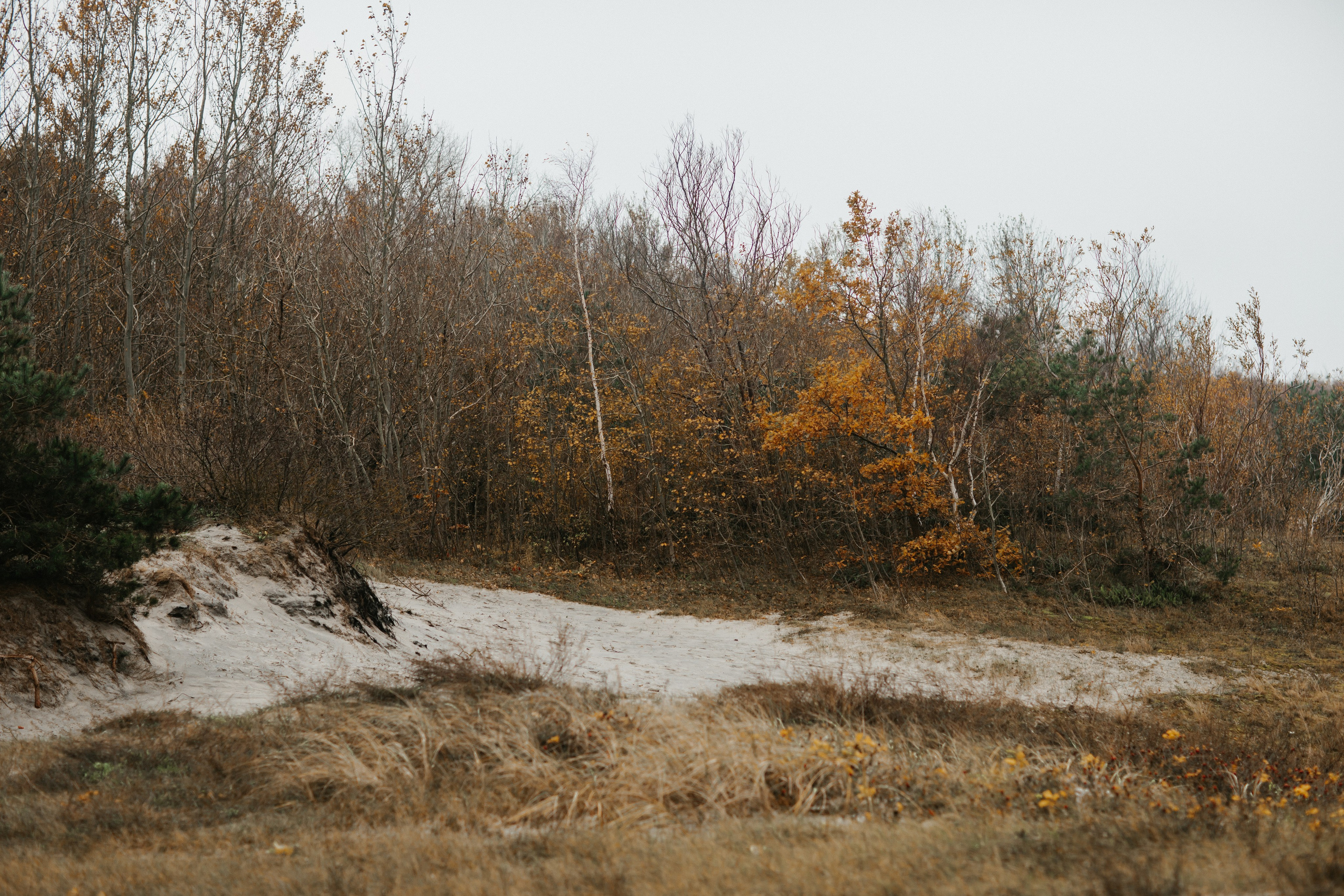 Балтийск/Калининград. Свадебный и семейный фотограф/видеограф в Краснодаре Наталья Осинская