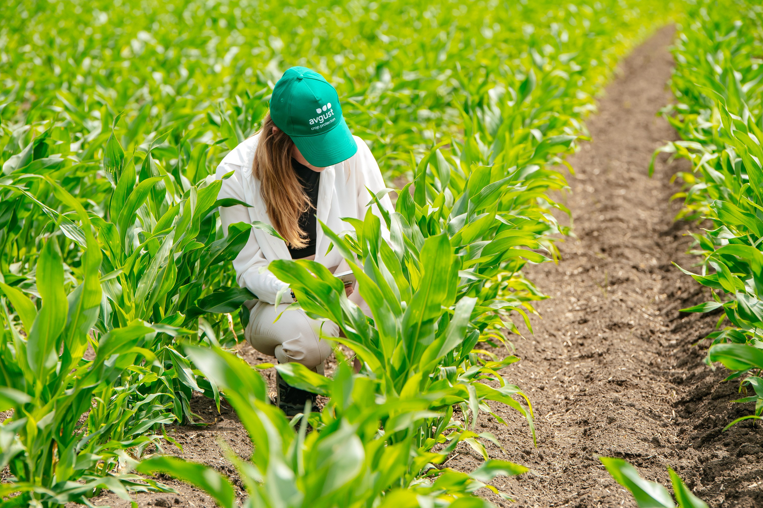 День поля. Главная
