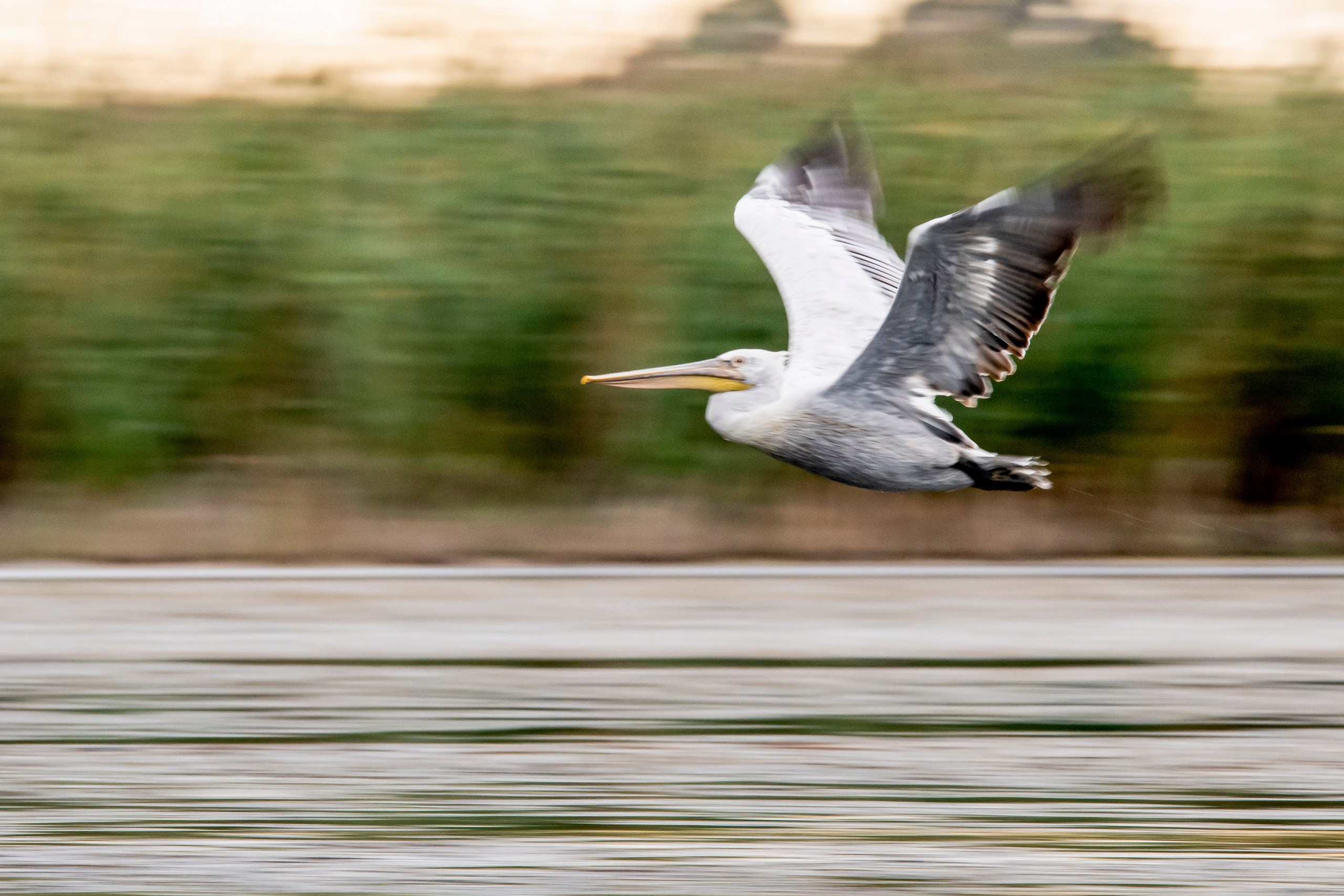 Природа Дагестана, сентябрь 2024. Foto-Zuev фотография как искусство