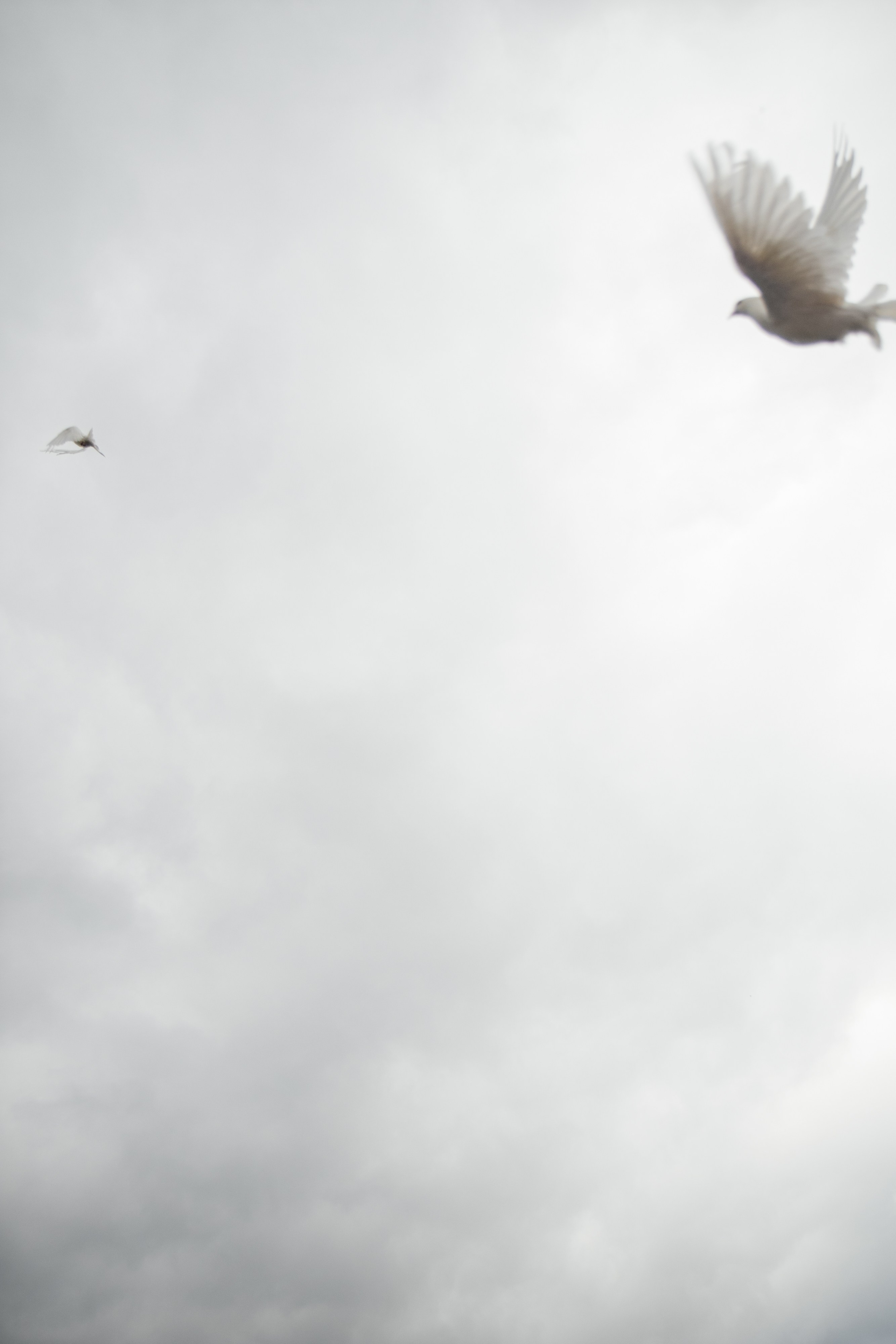 Свадьба Этель & Данил. Свадебный фотограф алматы Шожебаев Кайрат