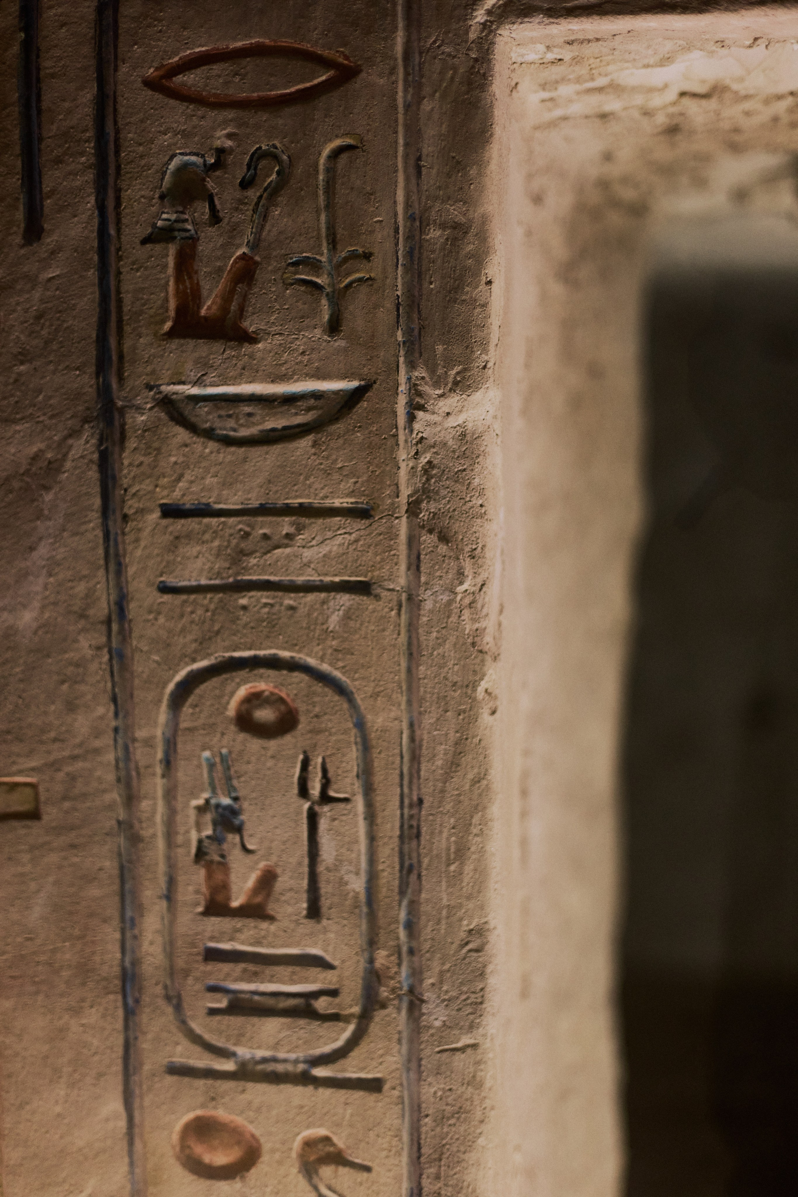 Другое 4. Jorgis — фотограф в Хургаде / обучение фотографии