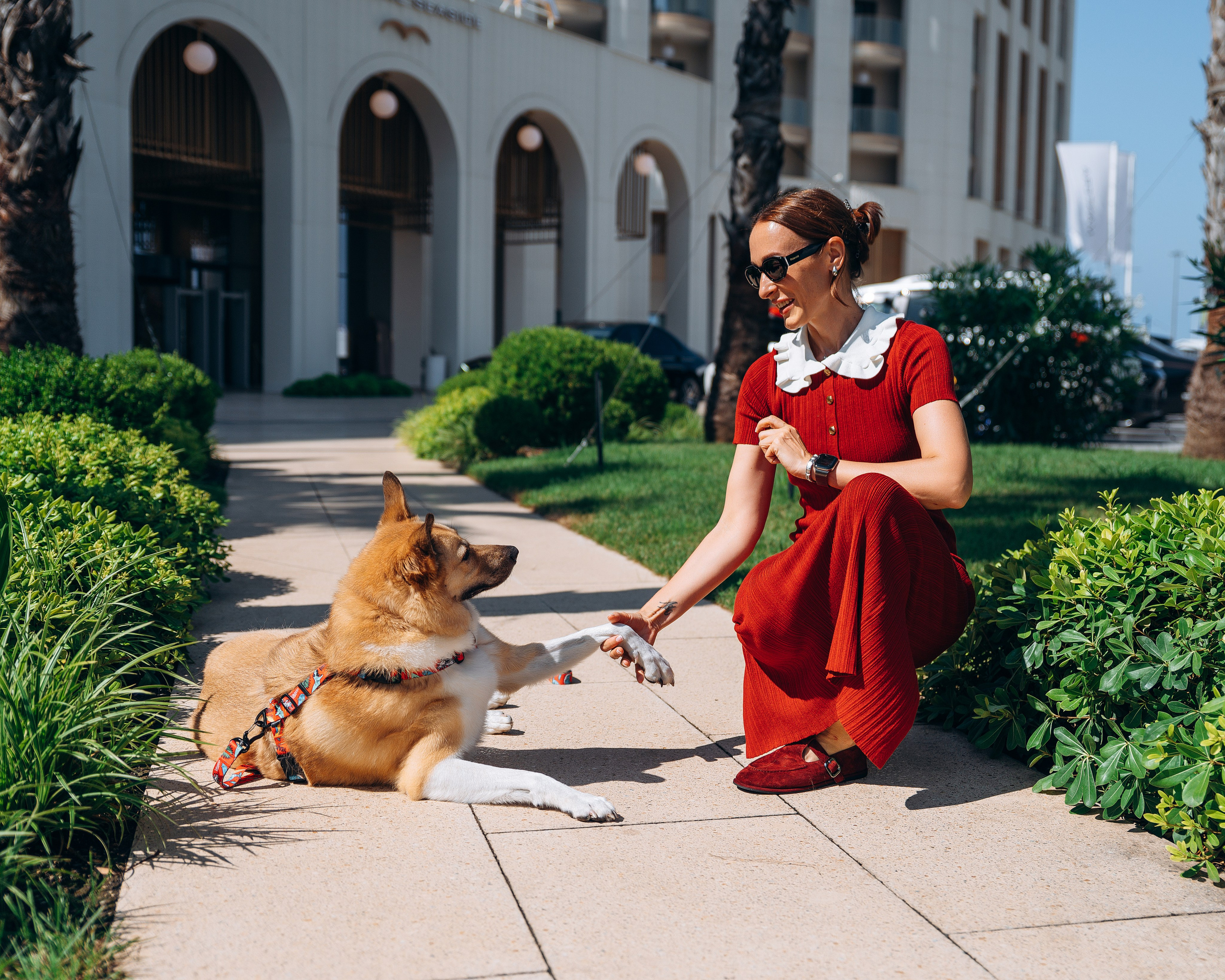 Животные. Фотограф Сочи-Краснодар