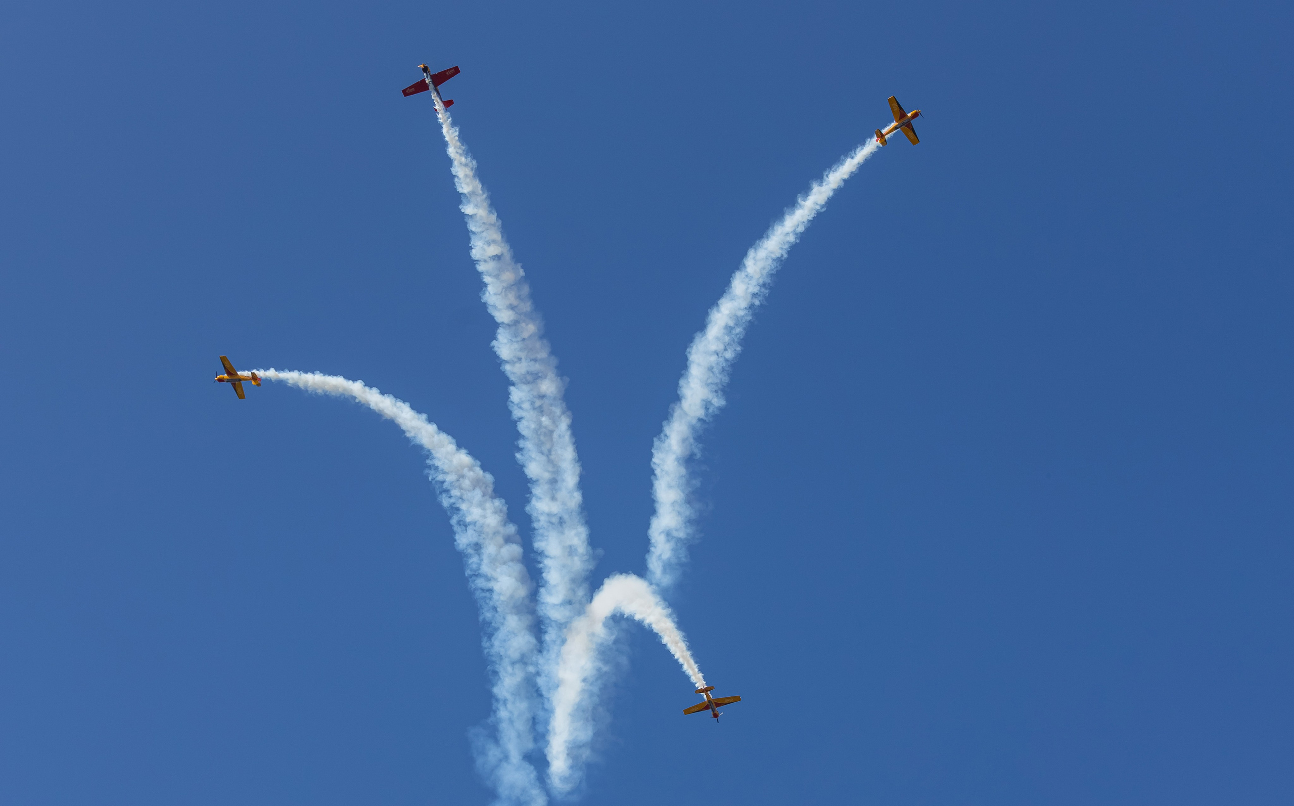 Крылья Пармы 2025 г. KATERINA VINOKUROVA ФОТОГРАФ ПЕРМЬ