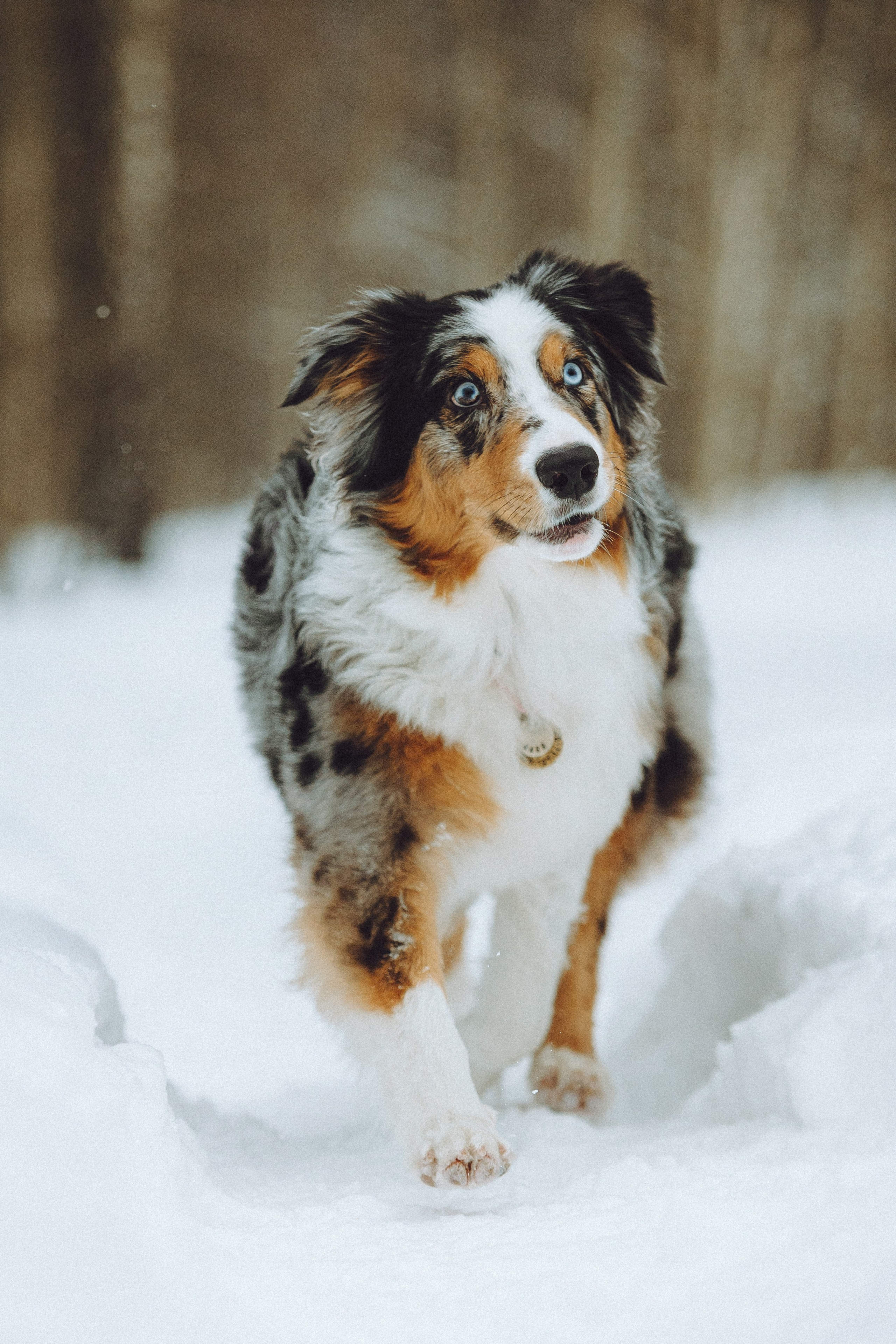 Фаня и ее семья