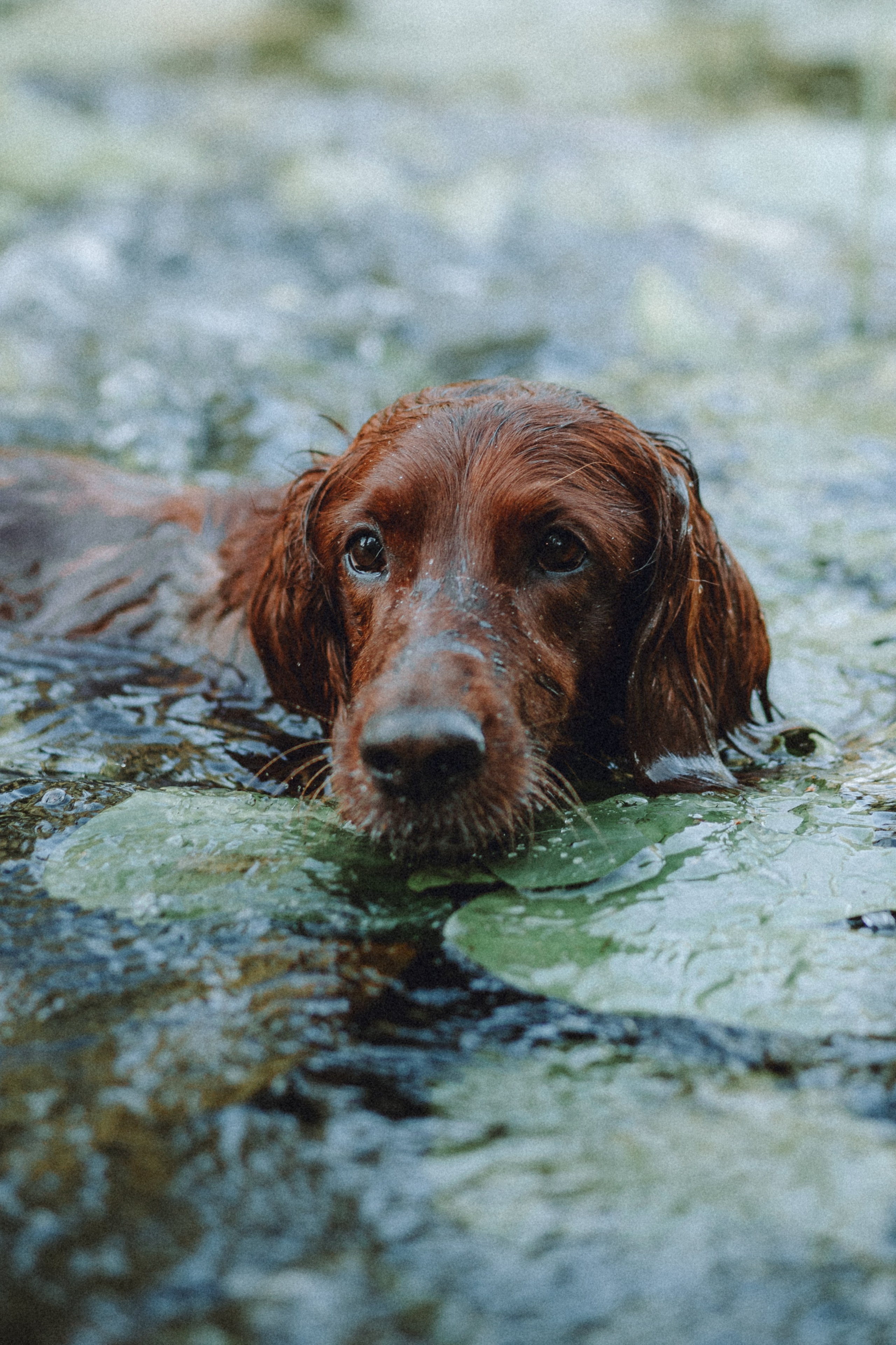 Маша и Джерри