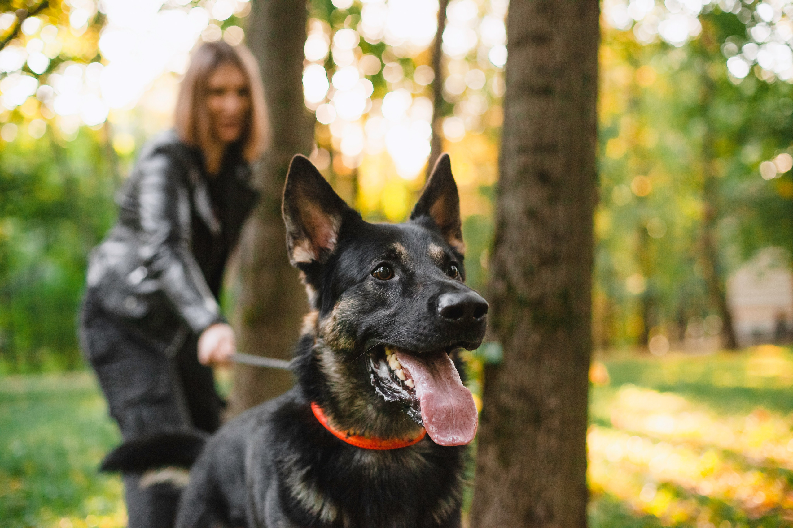 Илай. Фотограф-анималист Татьяна Степанова